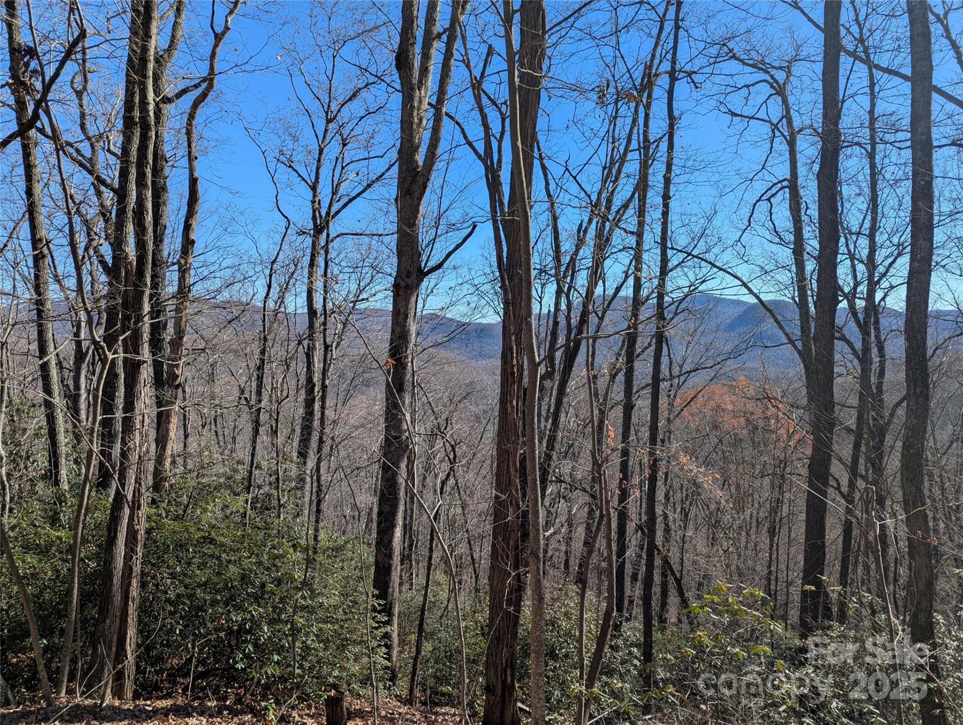 2726 Lower Flat Creek Road - Photo 46