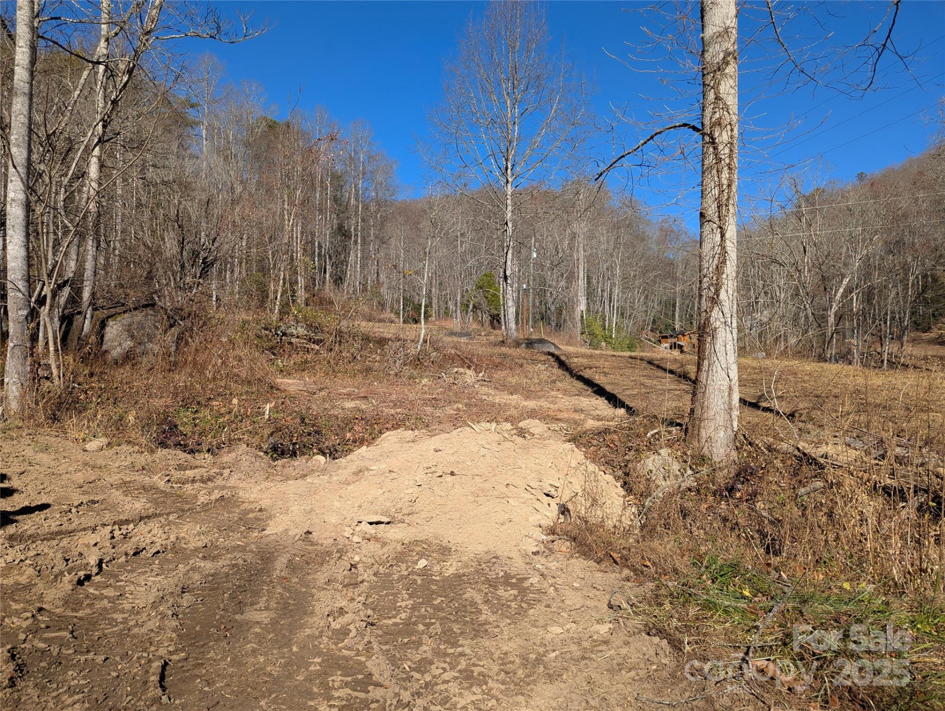 2726 Lower Flat Creek Road - Photo 6