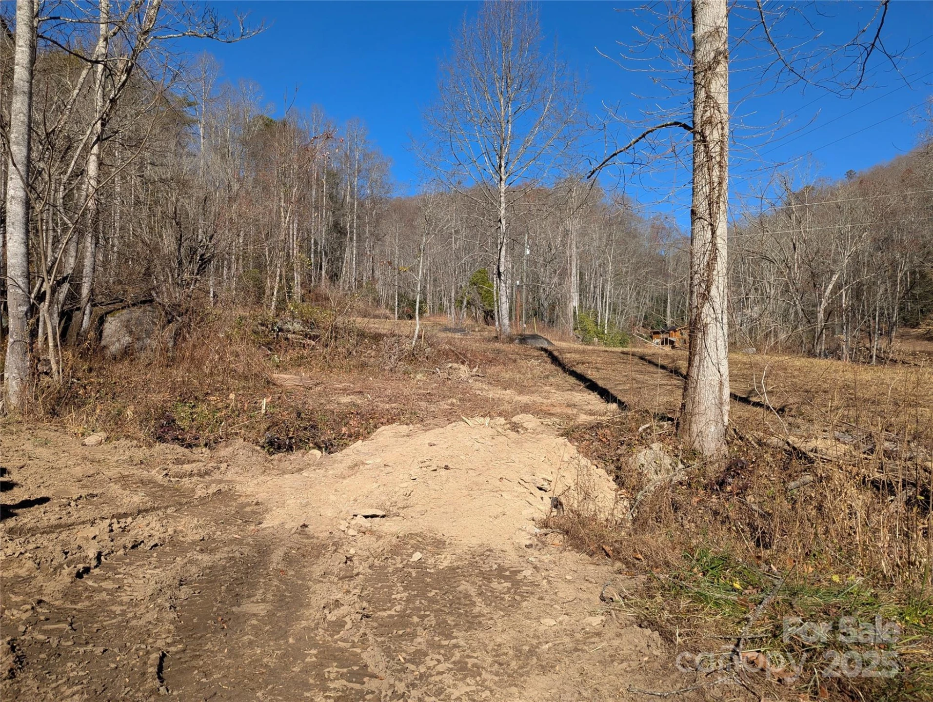 2726 Lower Flat Creek Road - Photo 6