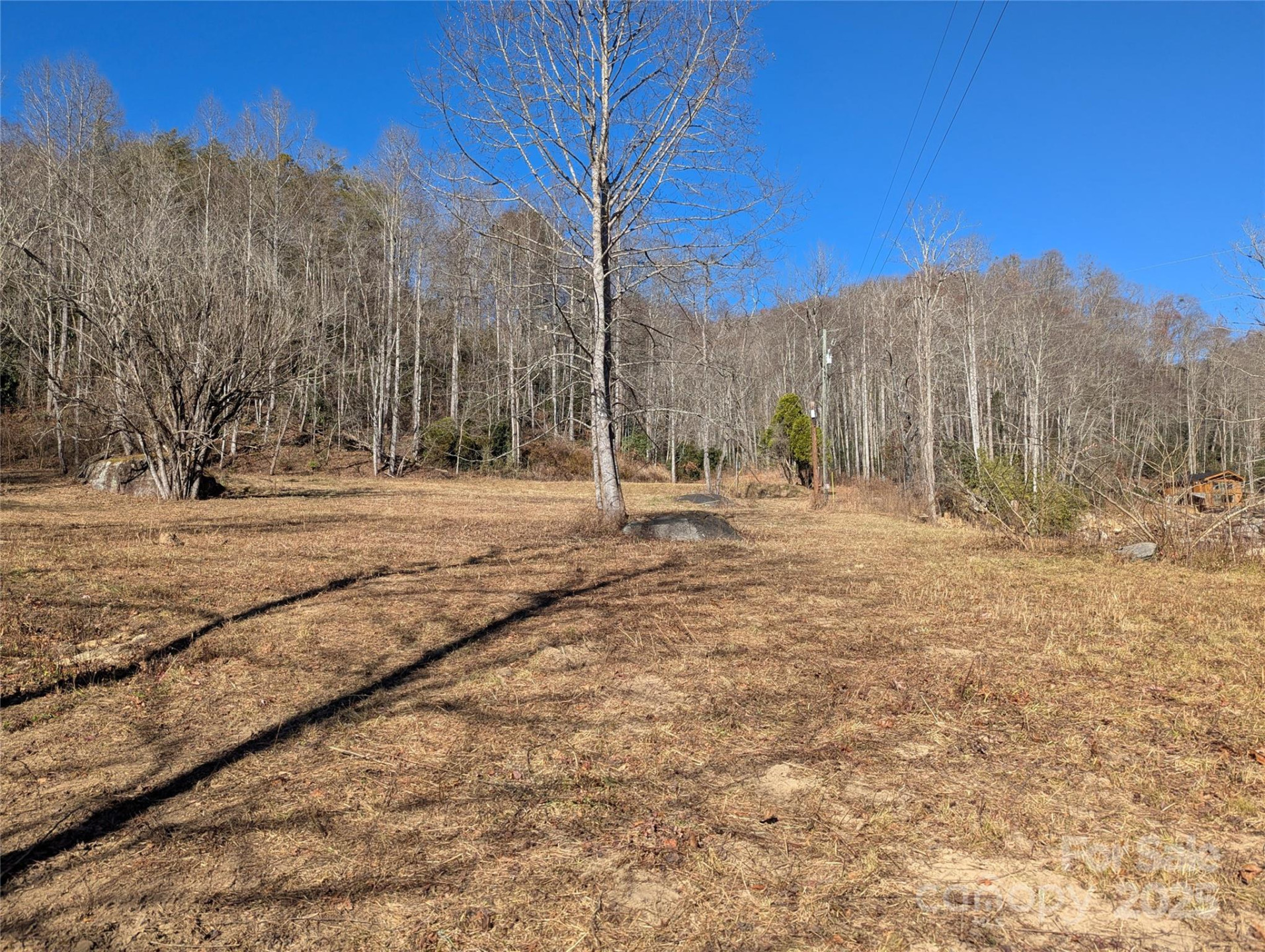 2726 Lower Flat Creek Road - Photo 7