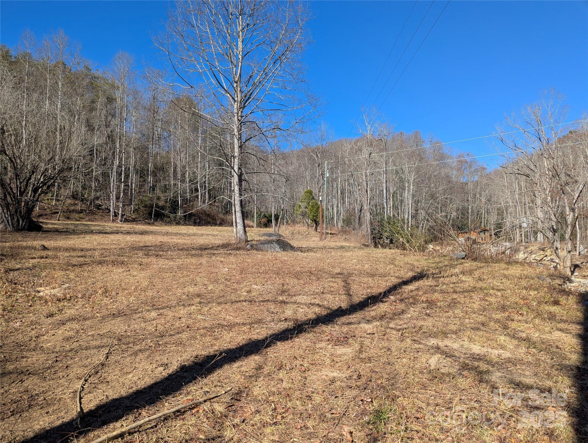 2726 Lower Flat Creek Road - Photo 8