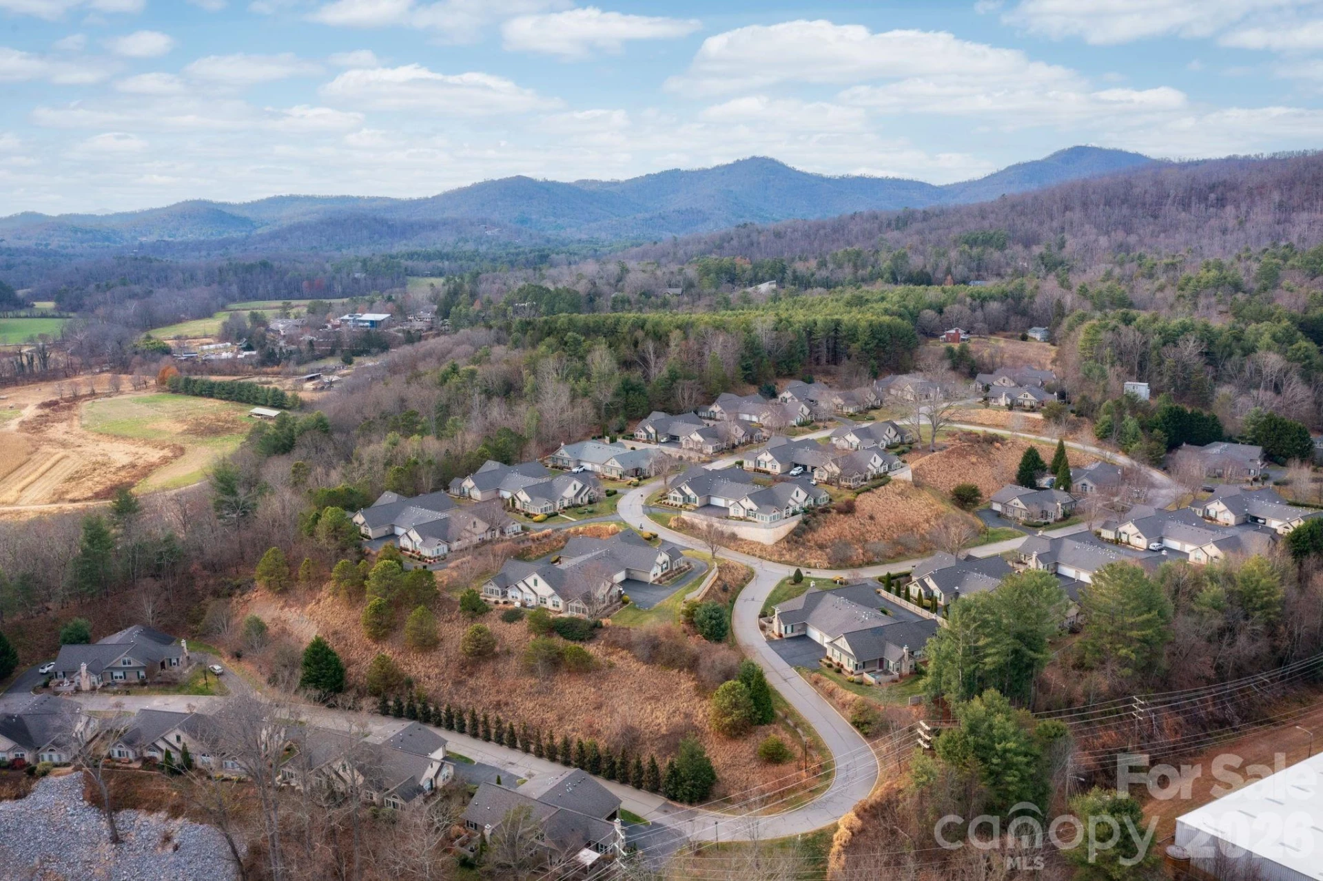 36 Craggy Vista Drive - Photo 4