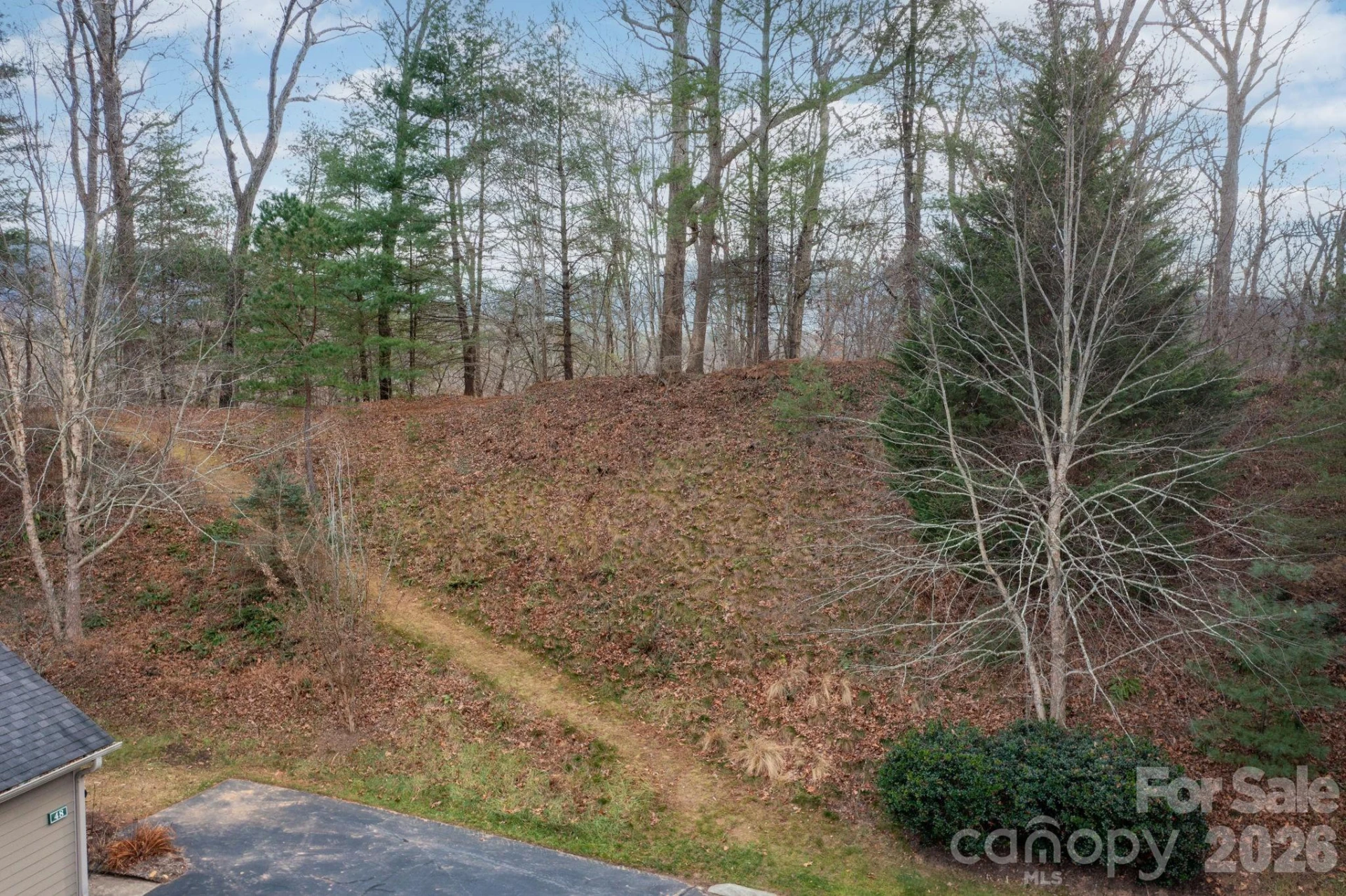 36 Craggy Vista Drive - Photo 31