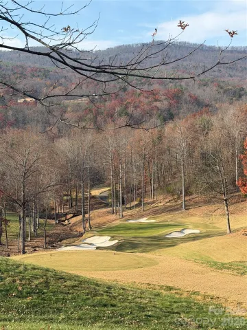 99999 Chestertown Drive, Mill Spring, NC, 28756