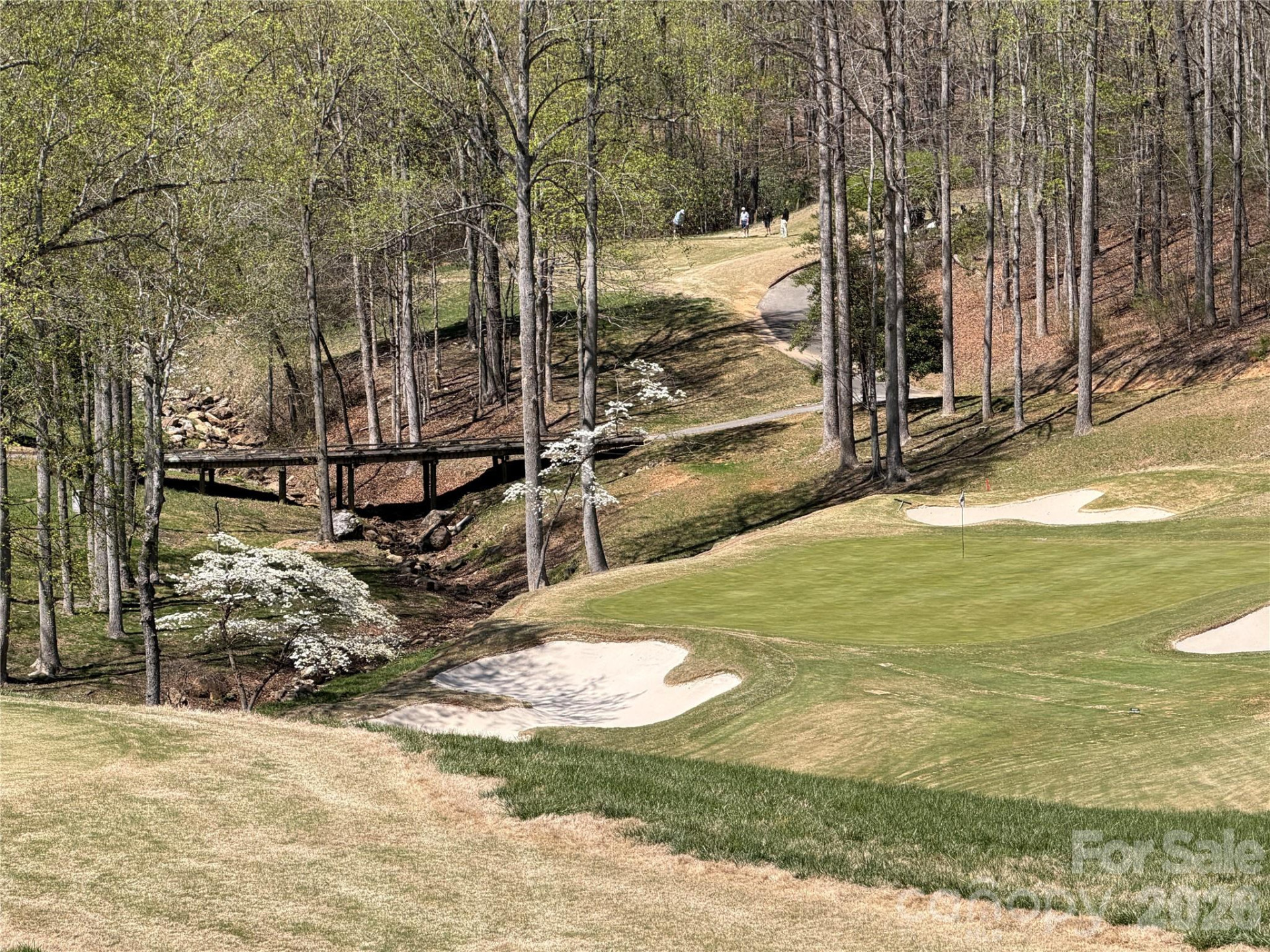 99999 Chestertown Drive - Photo 12