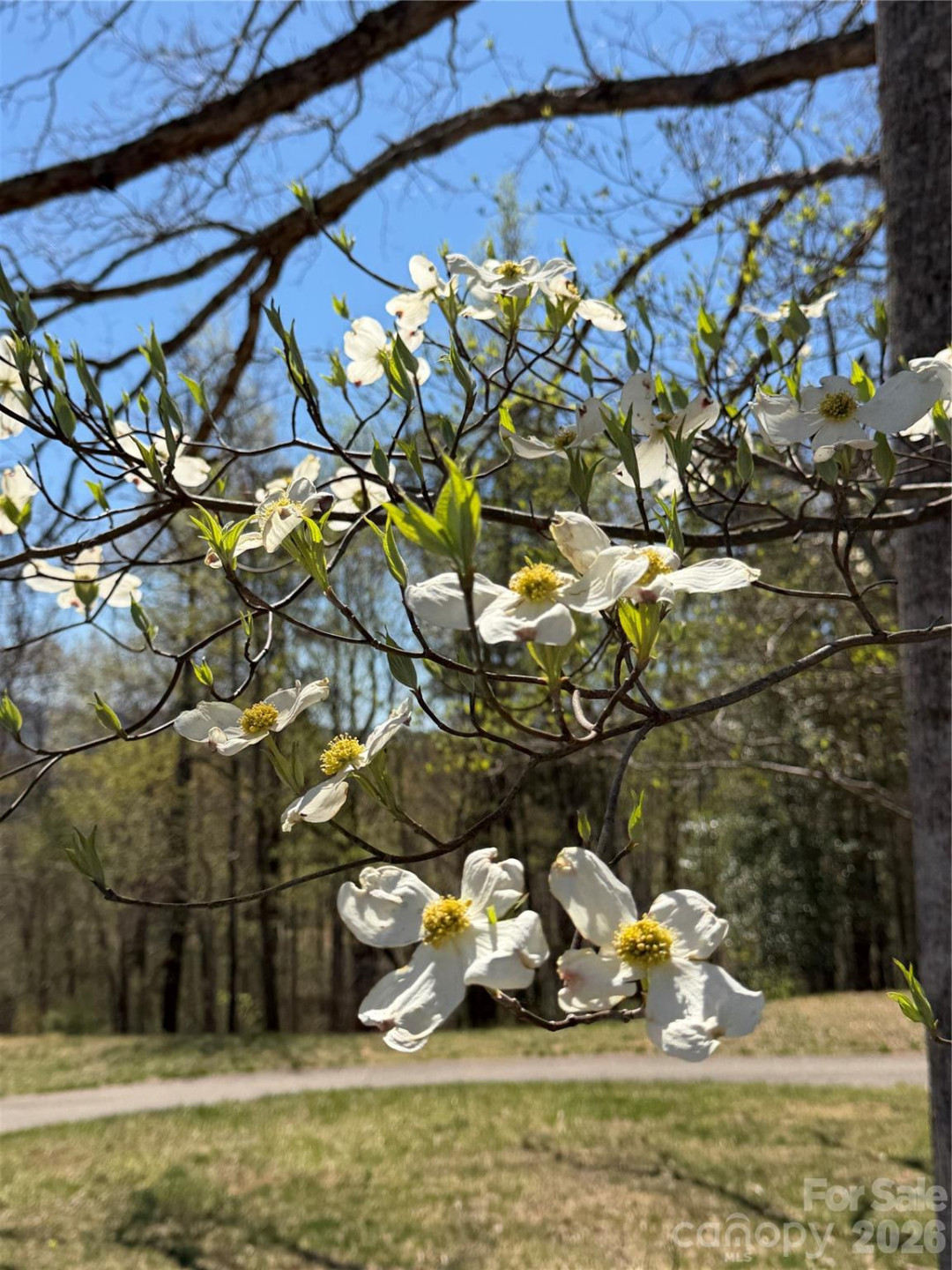 99999 Chestertown Drive - Photo 13