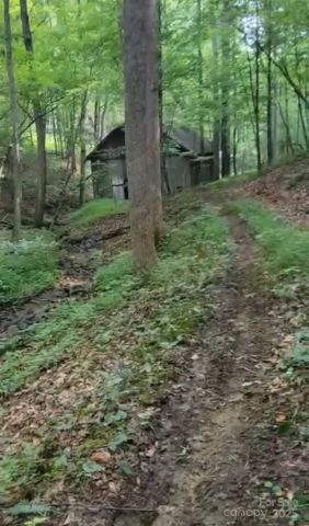 295 Bennett Branch Road, Green Mountain, NC, 28740