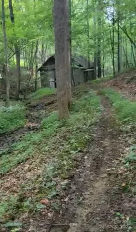 295 Bennett Branch Road, Green Mountain, NC, 28740