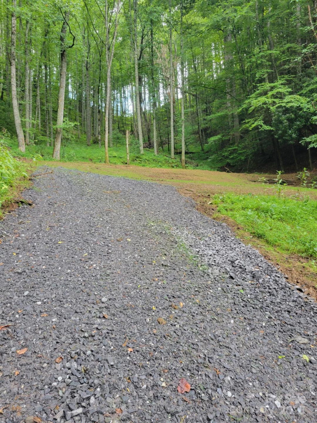 295 Bennett Branch Road - Photo 2