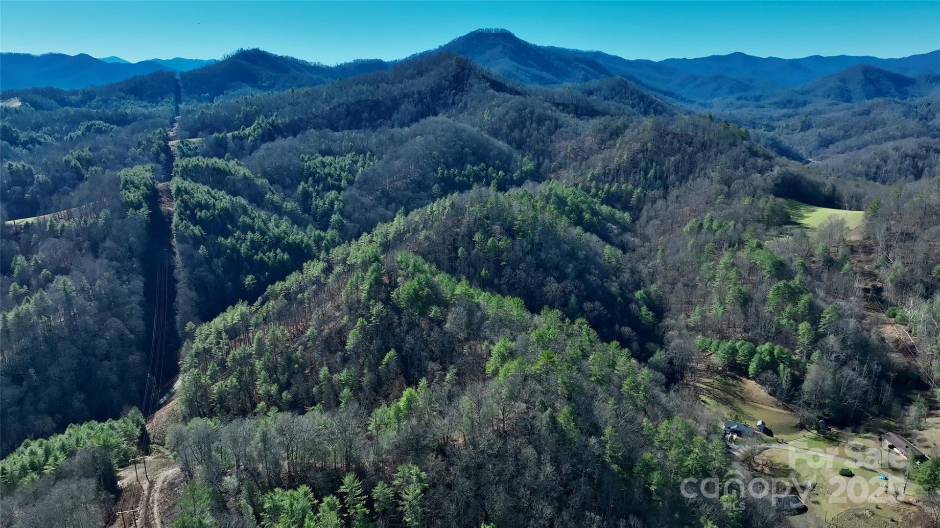 295 Bennett Branch Road - Photo 12