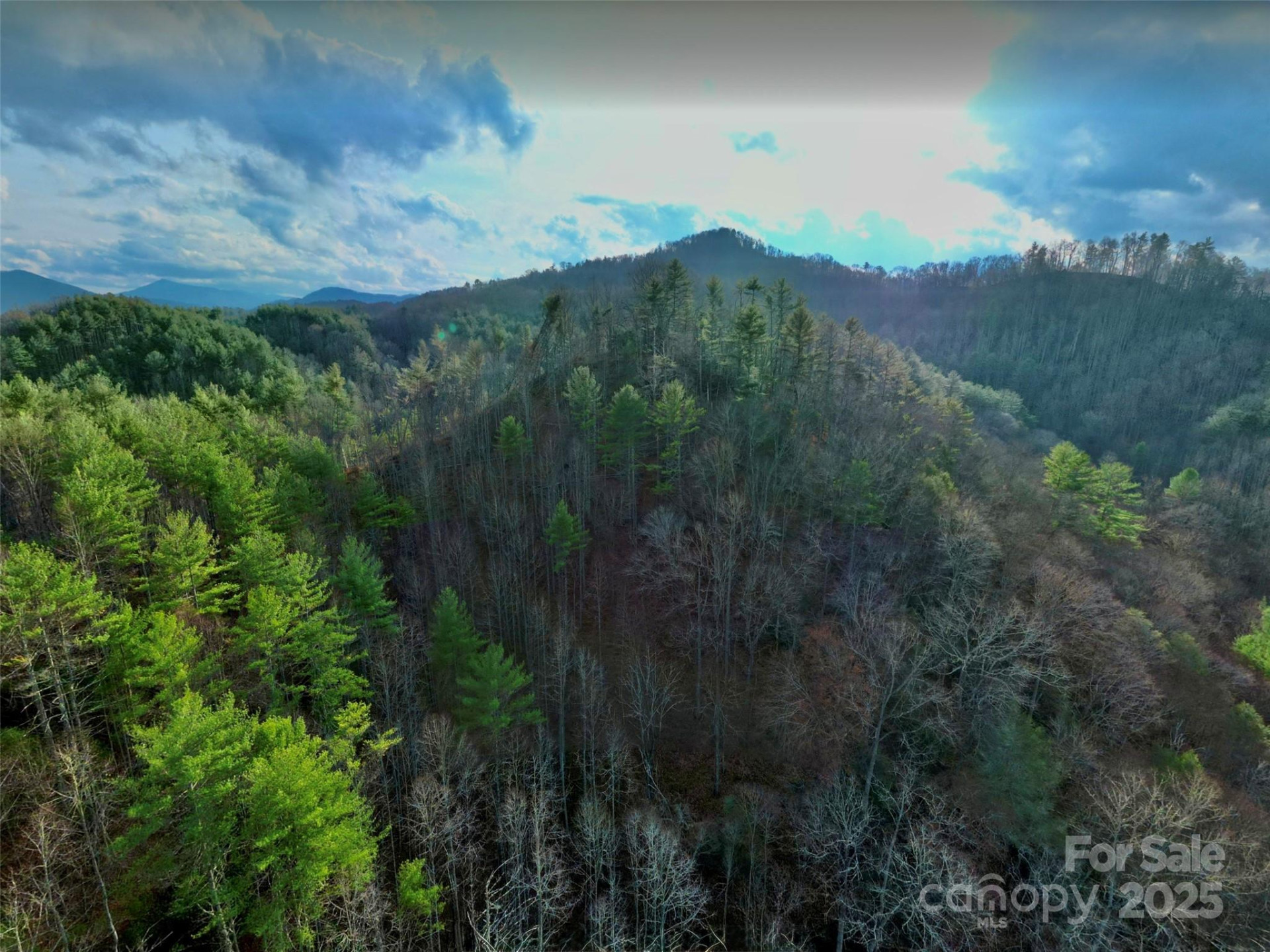 295 Bennett Branch Road - Photo 17