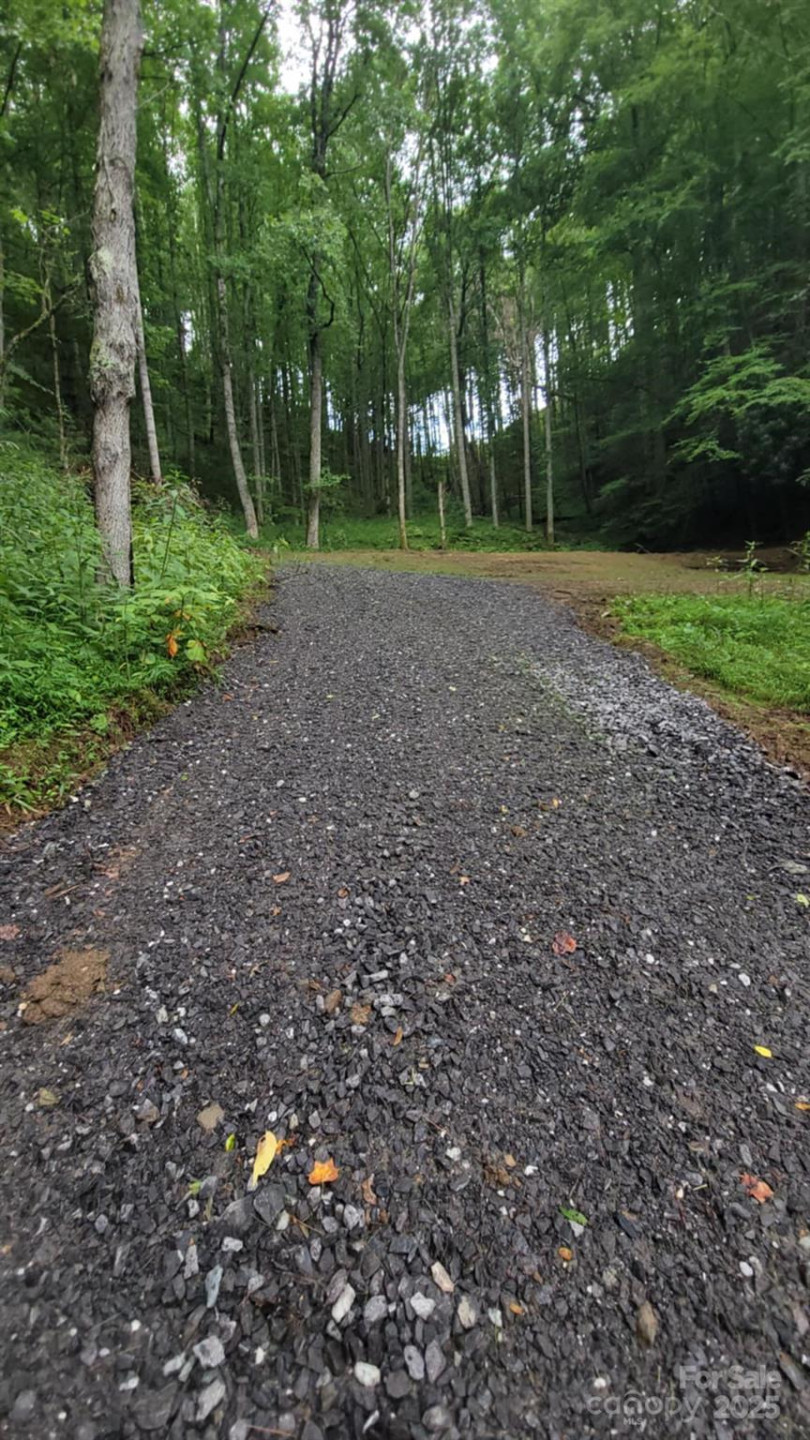 295 Bennett Branch Road - Photo 3