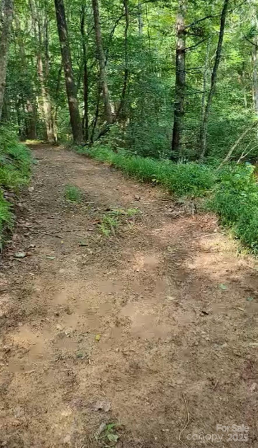 295 Bennett Branch Road - Photo 4