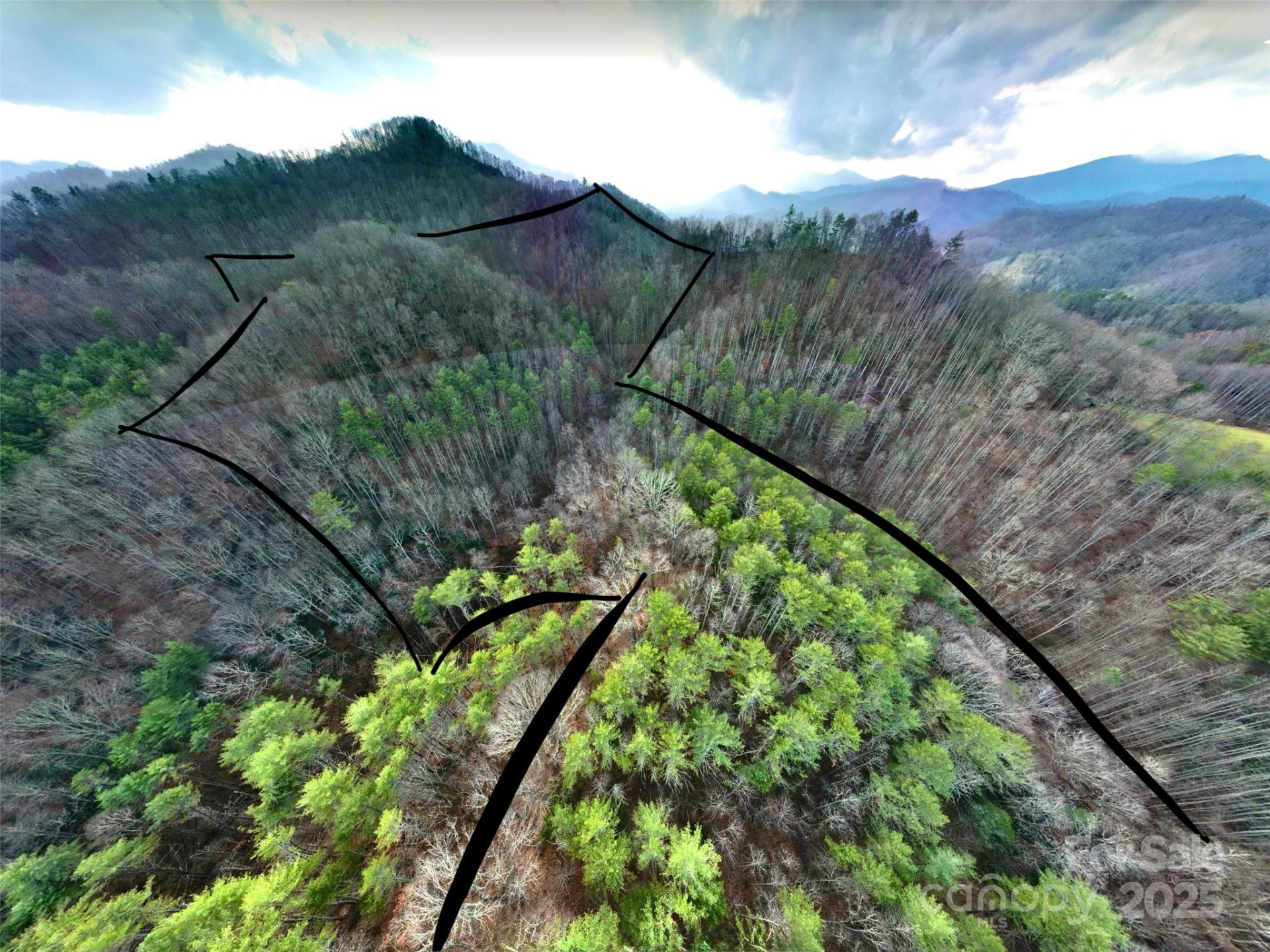 295 Bennett Branch Road - Photo 8