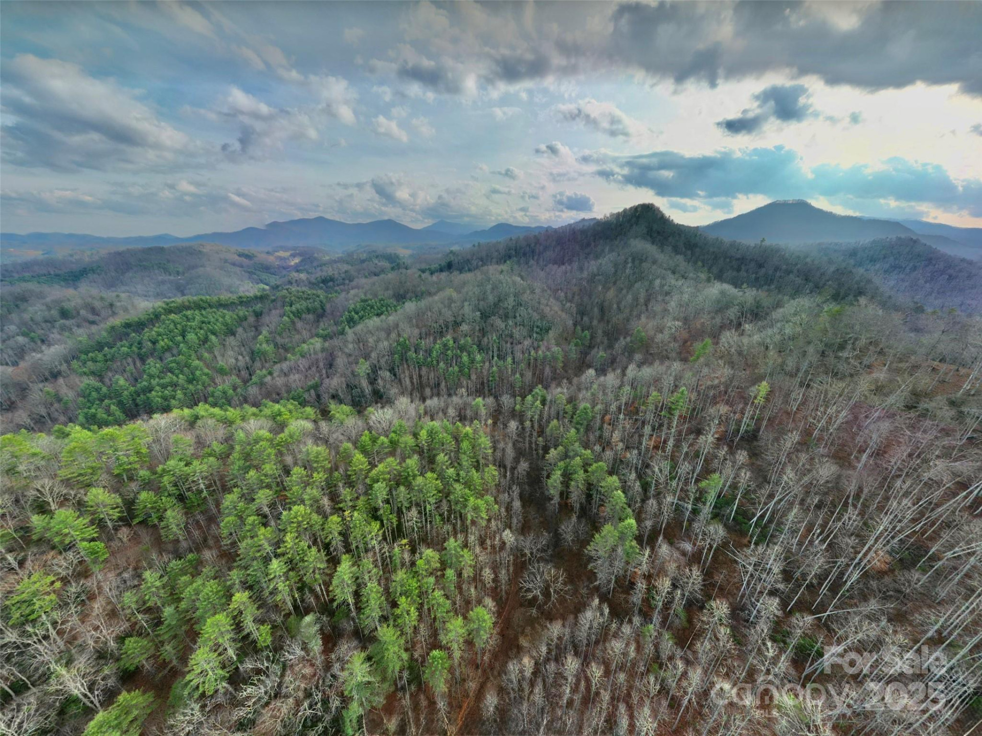 295 Bennett Branch Road - Photo 9