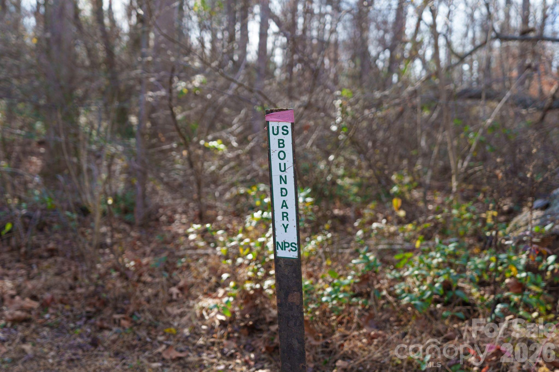 24 Lower Grassy Branch Road - Photo 36