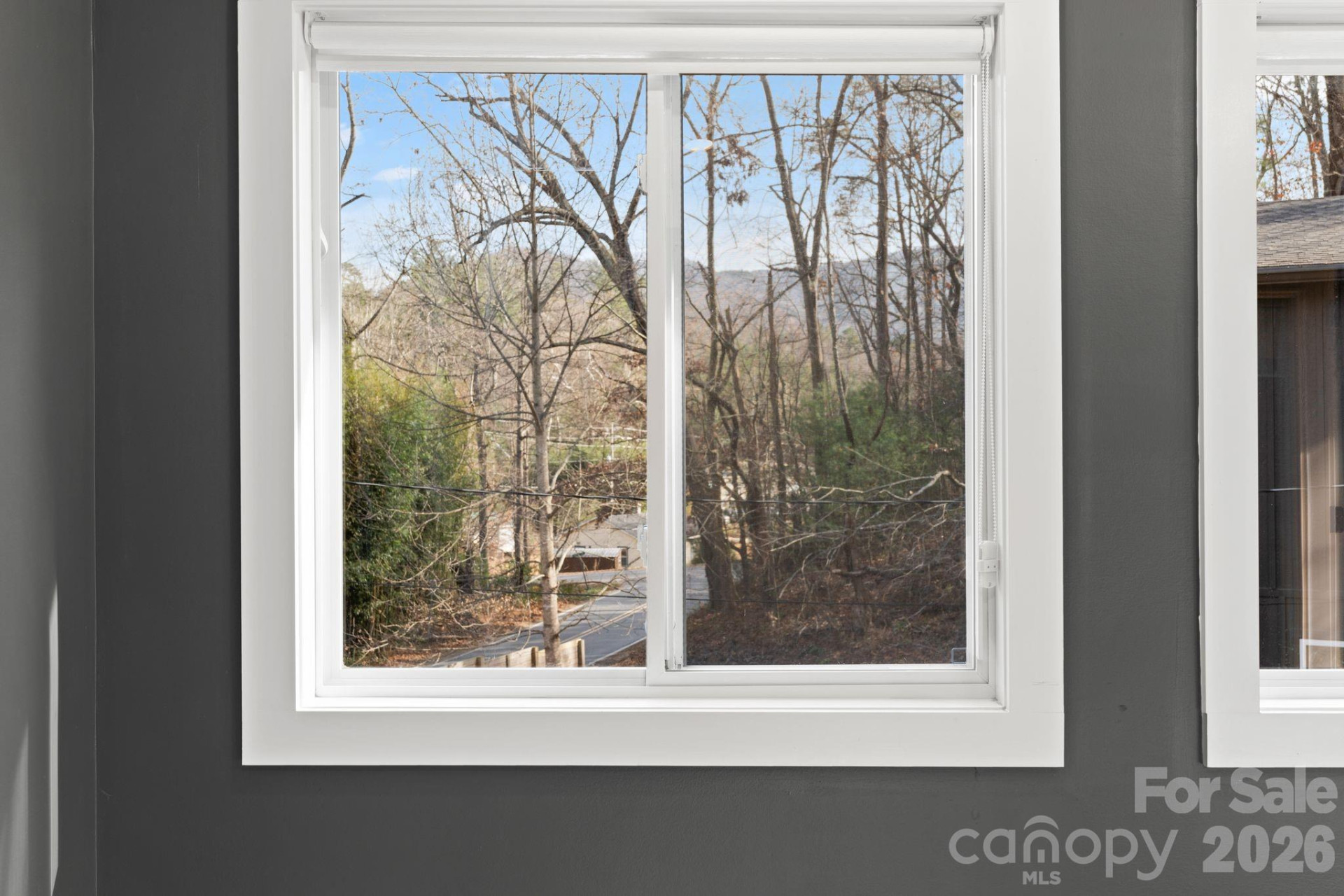 24 Lower Grassy Branch Road - Photo 39