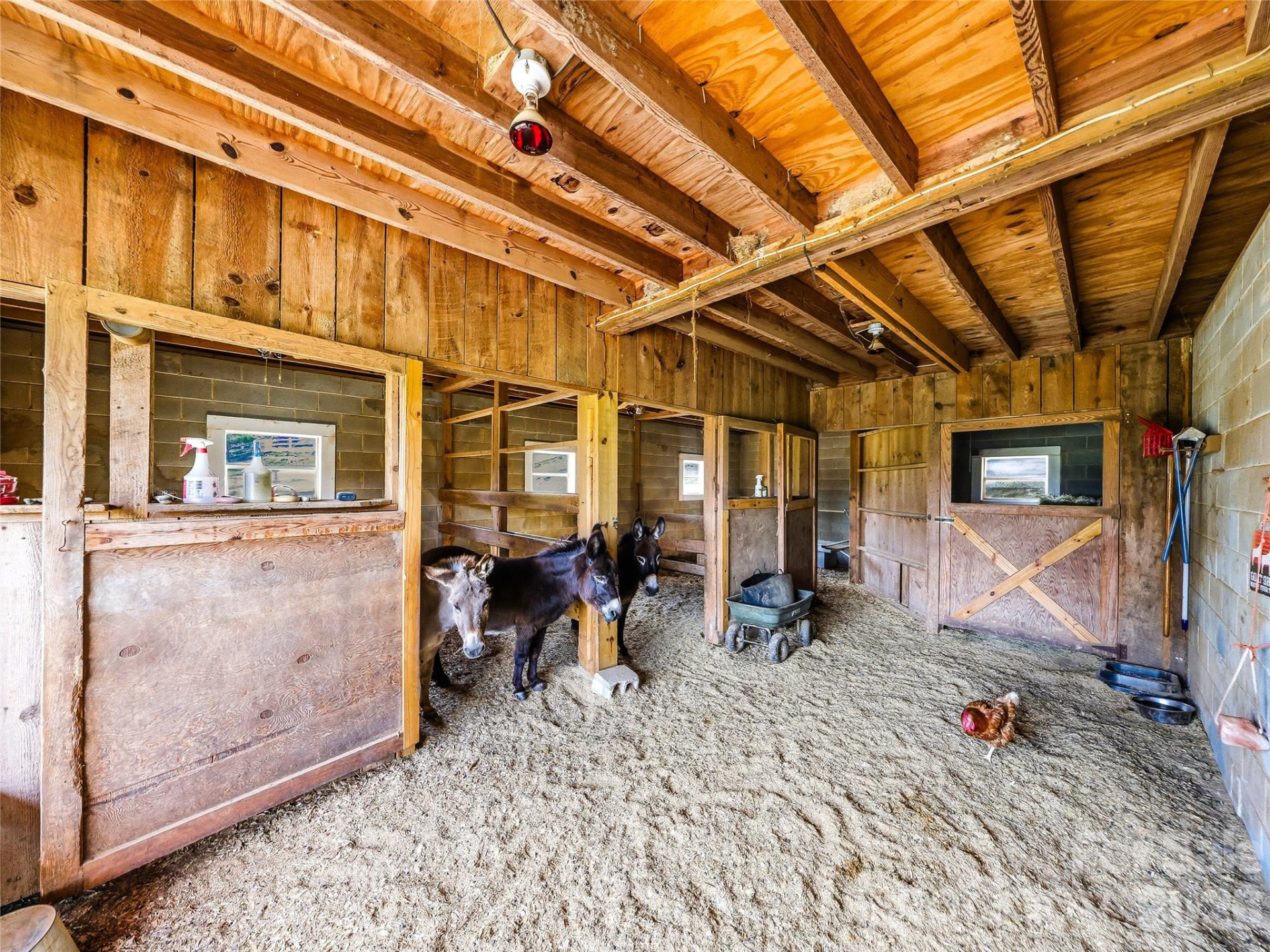 68, 78, & 90 Woody Farm Drive - Photo 44