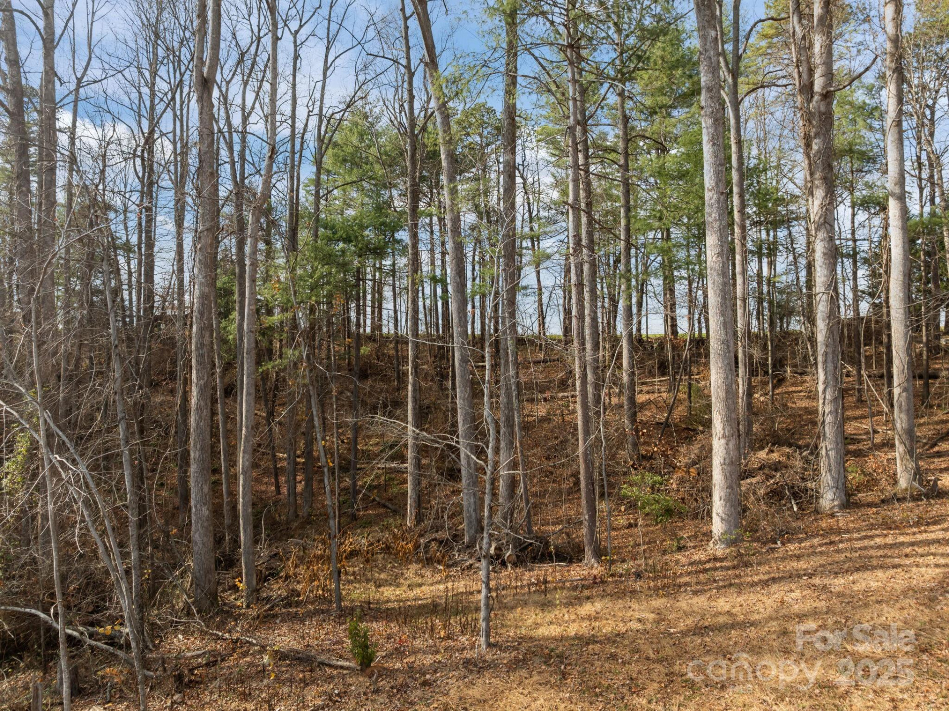 99999 Twin Lakes Drive - Photo 15