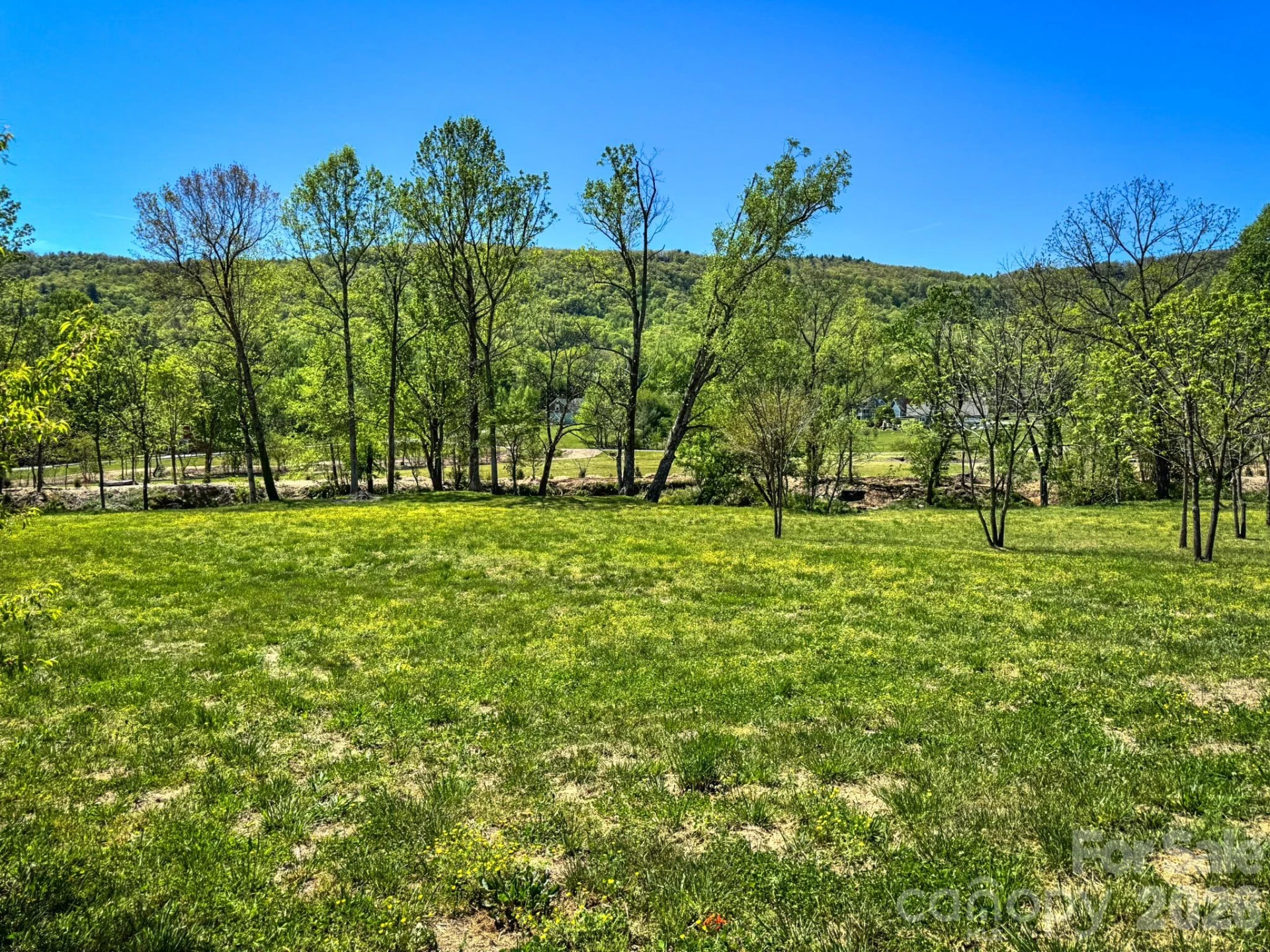 00 Walnut Valley Lane #5 - Photo 35