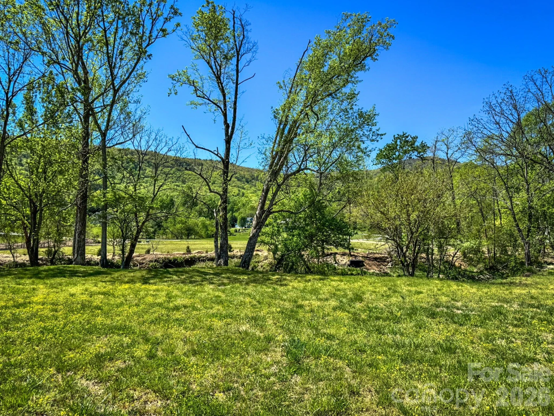 00 Walnut Valley Lane #5 - Photo 39