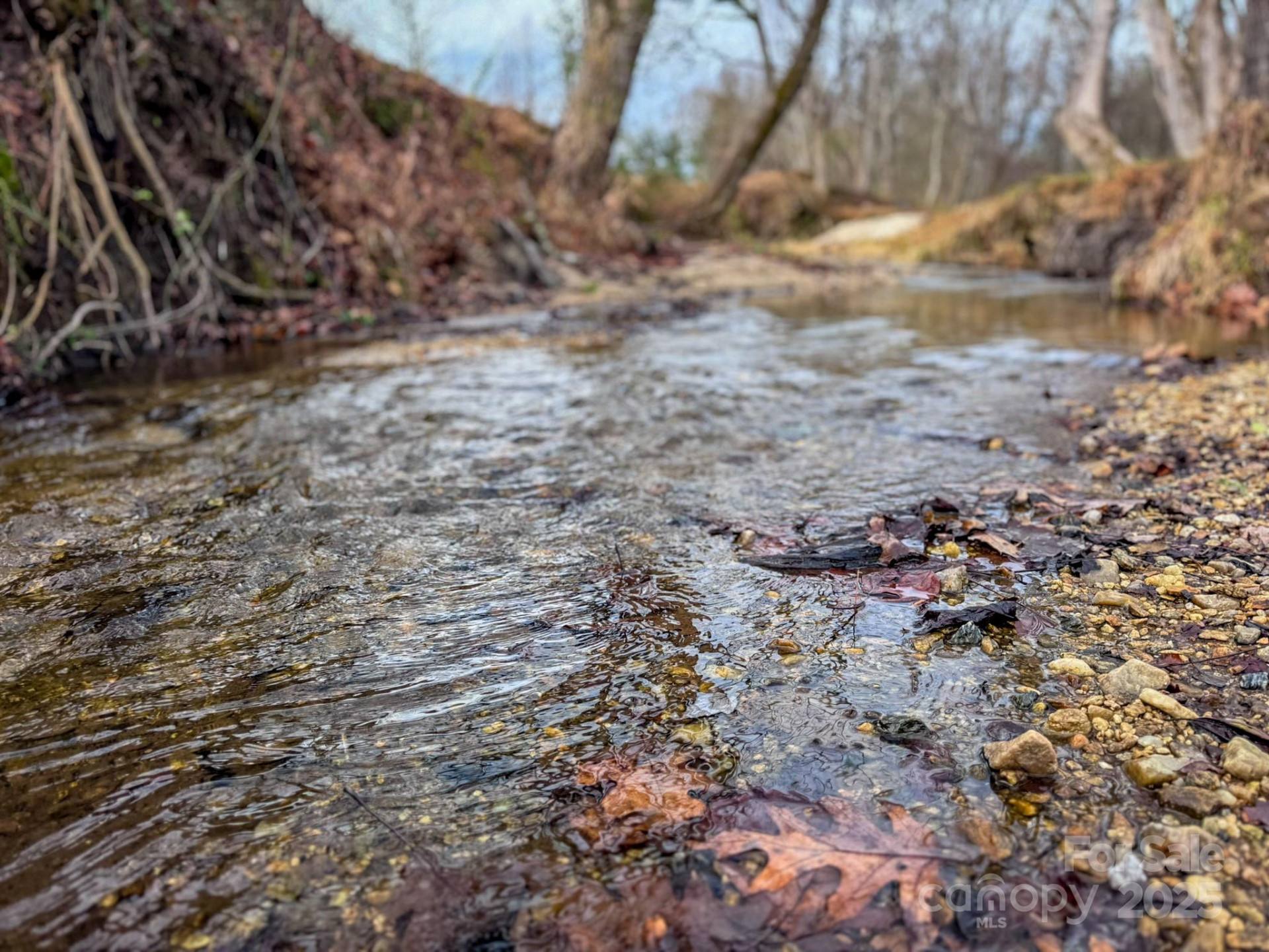 00 Walnut Valley Lane #5 - Photo 32