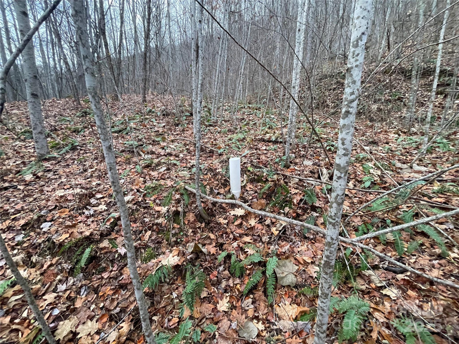 805 Sparkling Falls Road - Photo 13