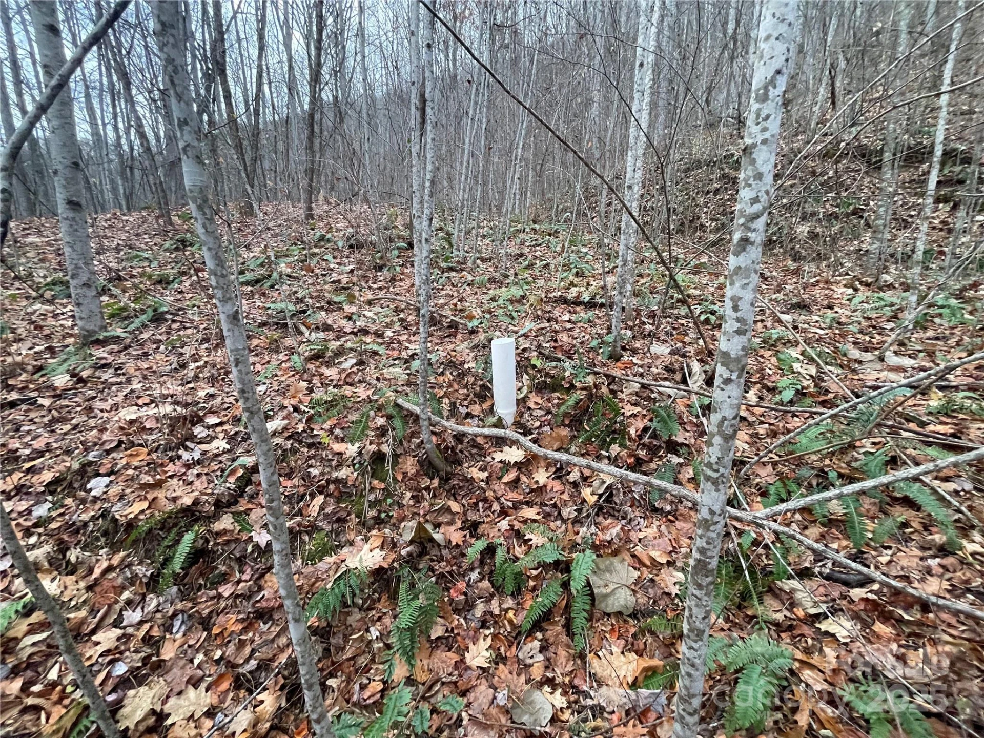 805 Sparkling Falls Road - Photo 13