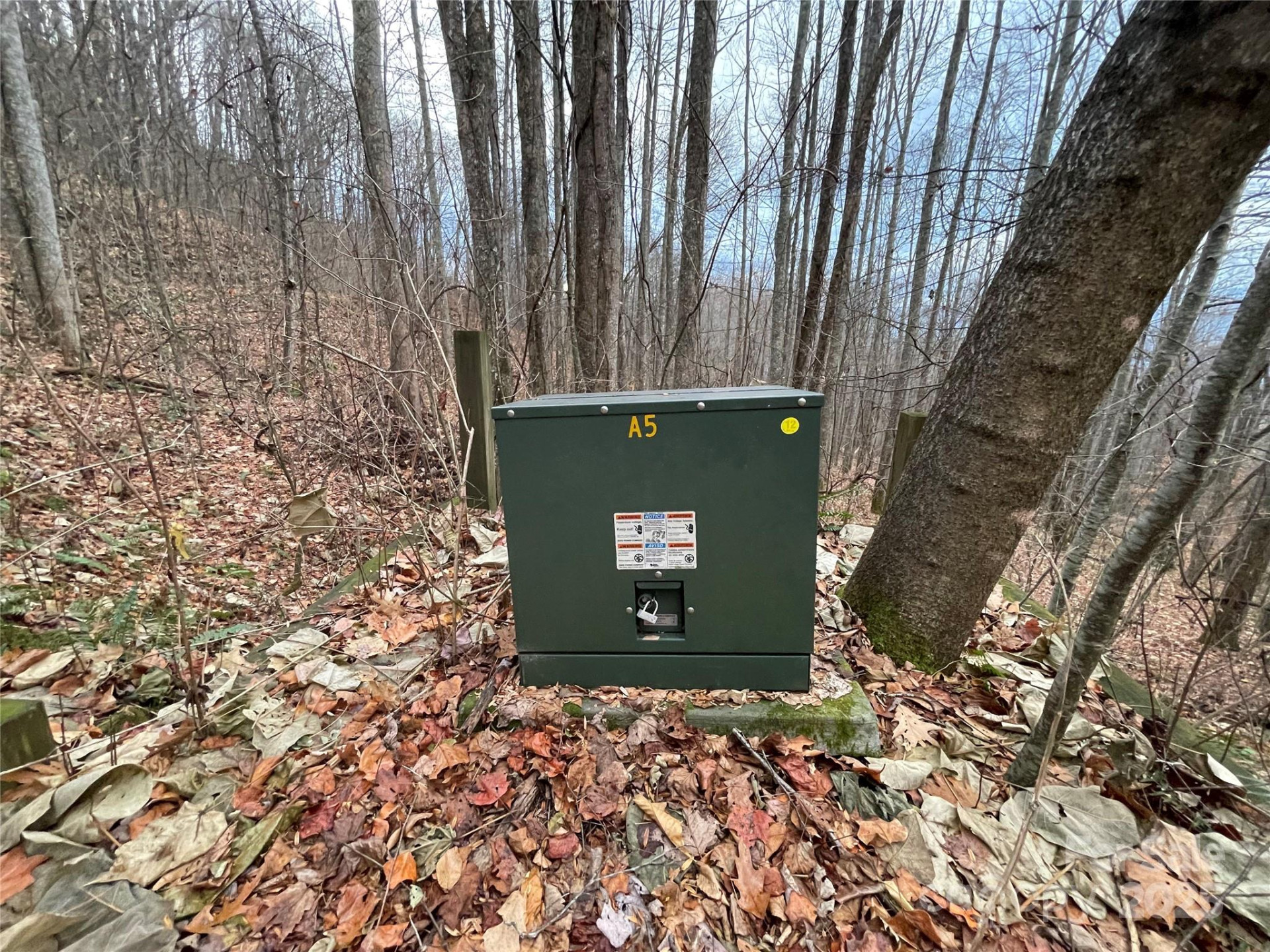 805 Sparkling Falls Road - Photo 14