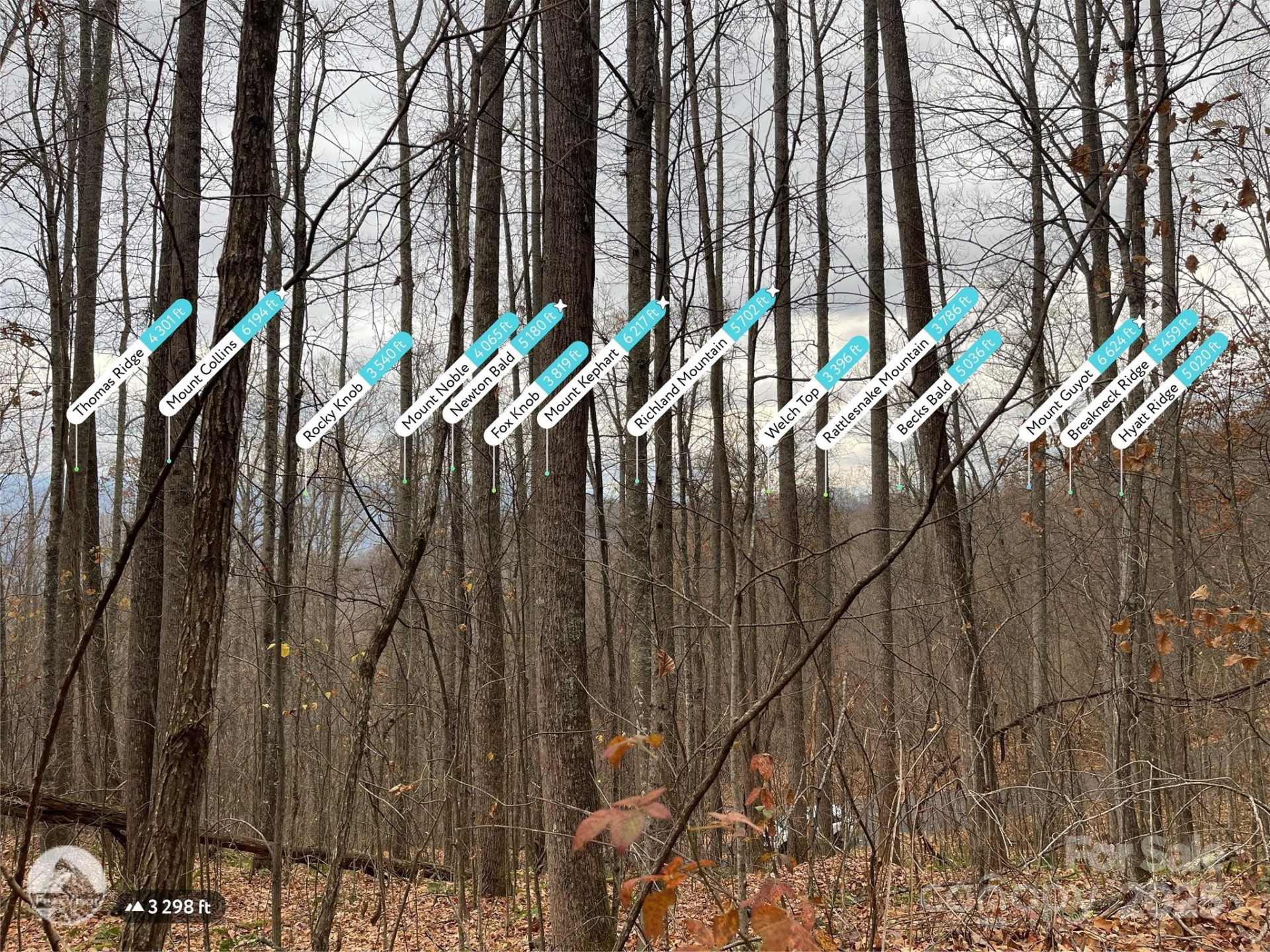 805 Sparkling Falls Road - Photo 15