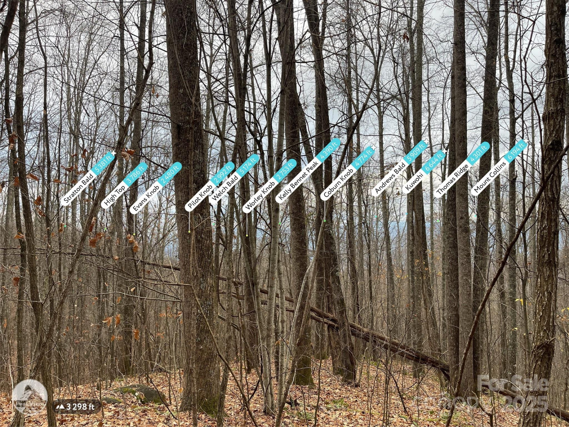 805 Sparkling Falls Road - Photo 16