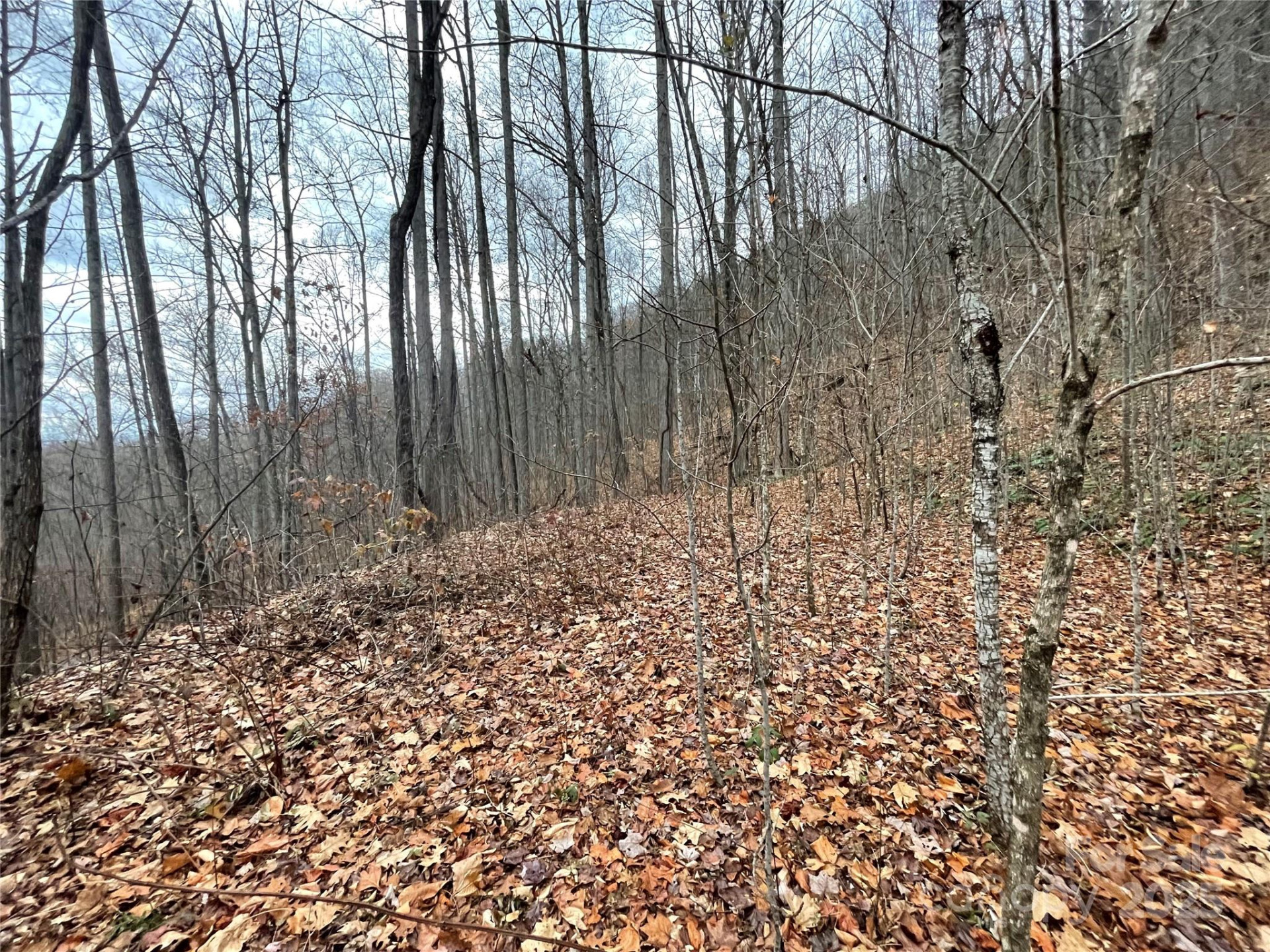 805 Sparkling Falls Road - Photo 17