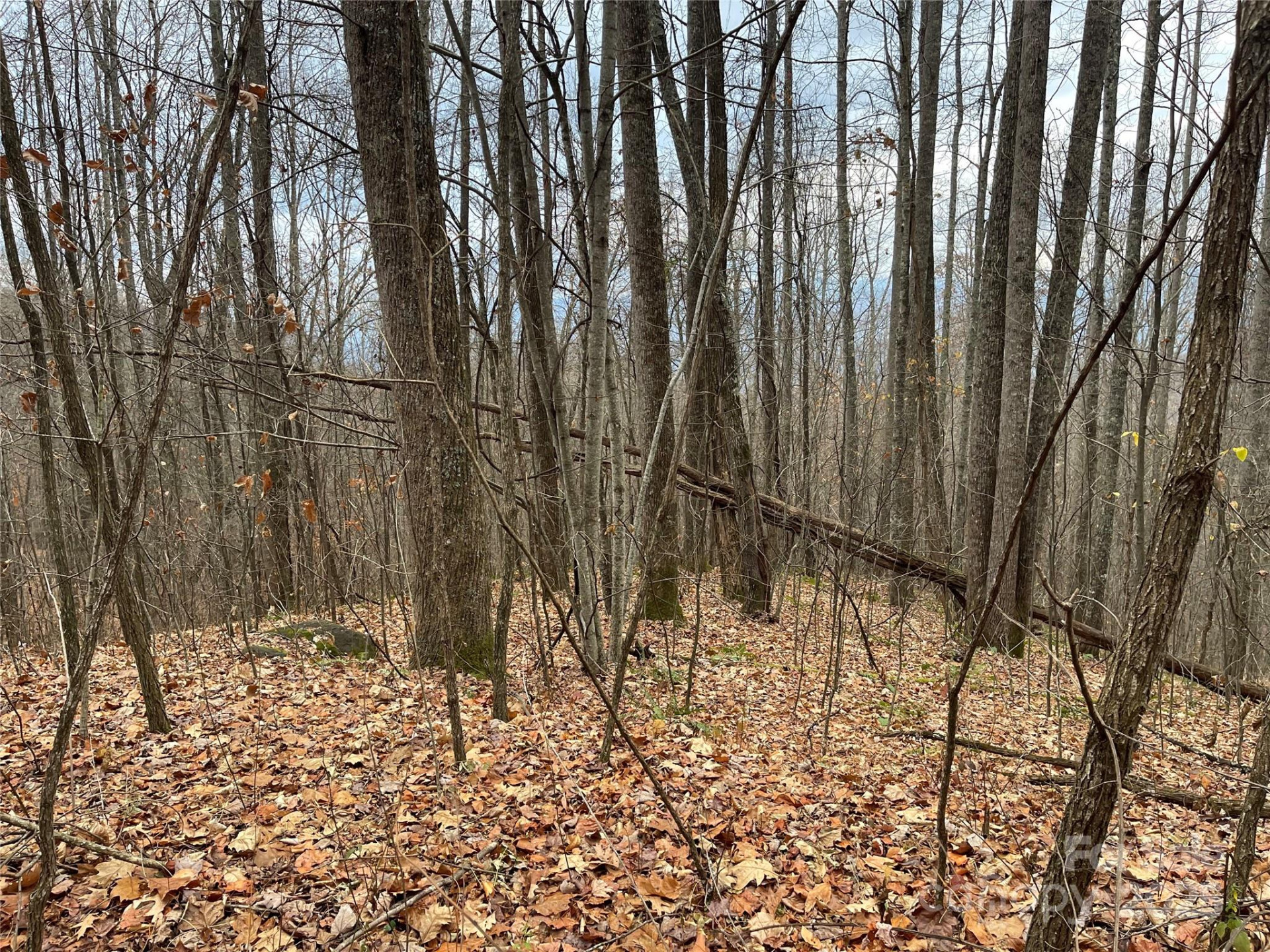 805 Sparkling Falls Road - Photo 18