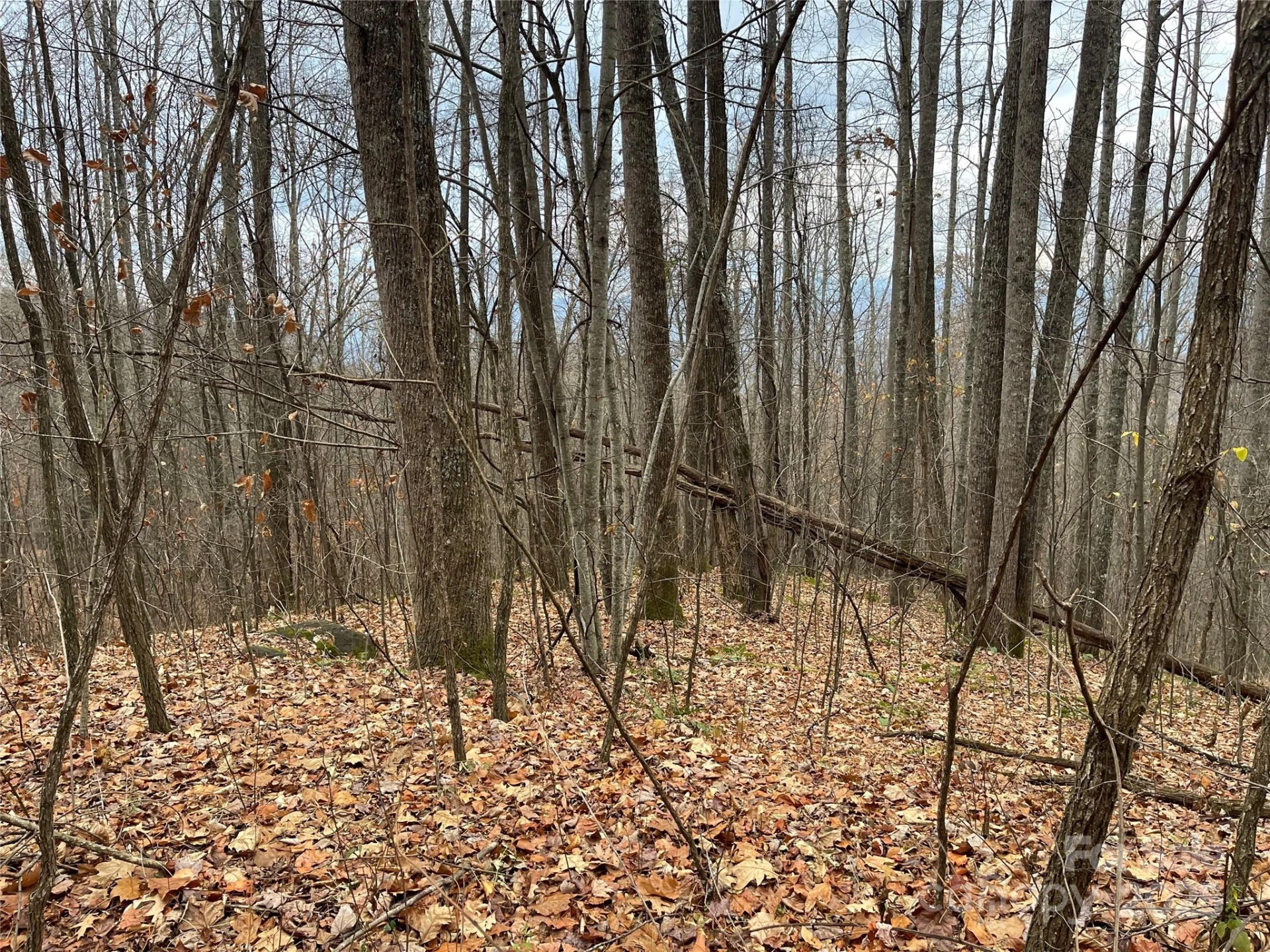 805 Sparkling Falls Road - Photo 18