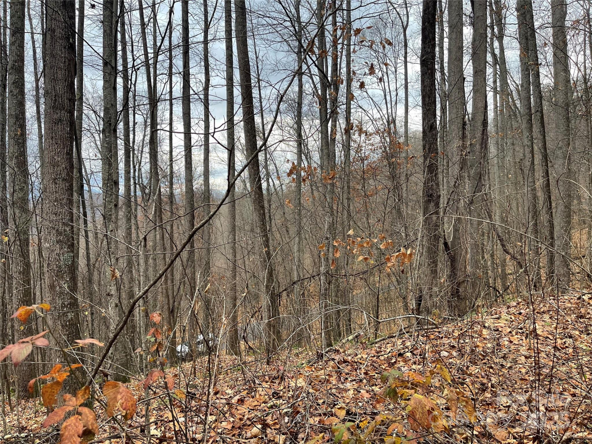 805 Sparkling Falls Road - Photo 19