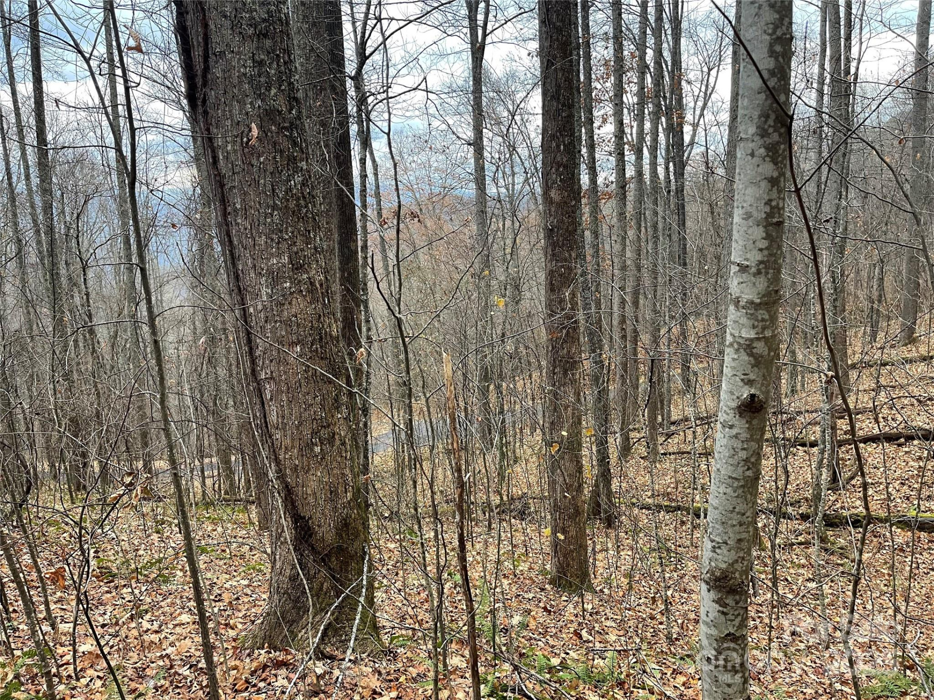 805 Sparkling Falls Road - Photo 20