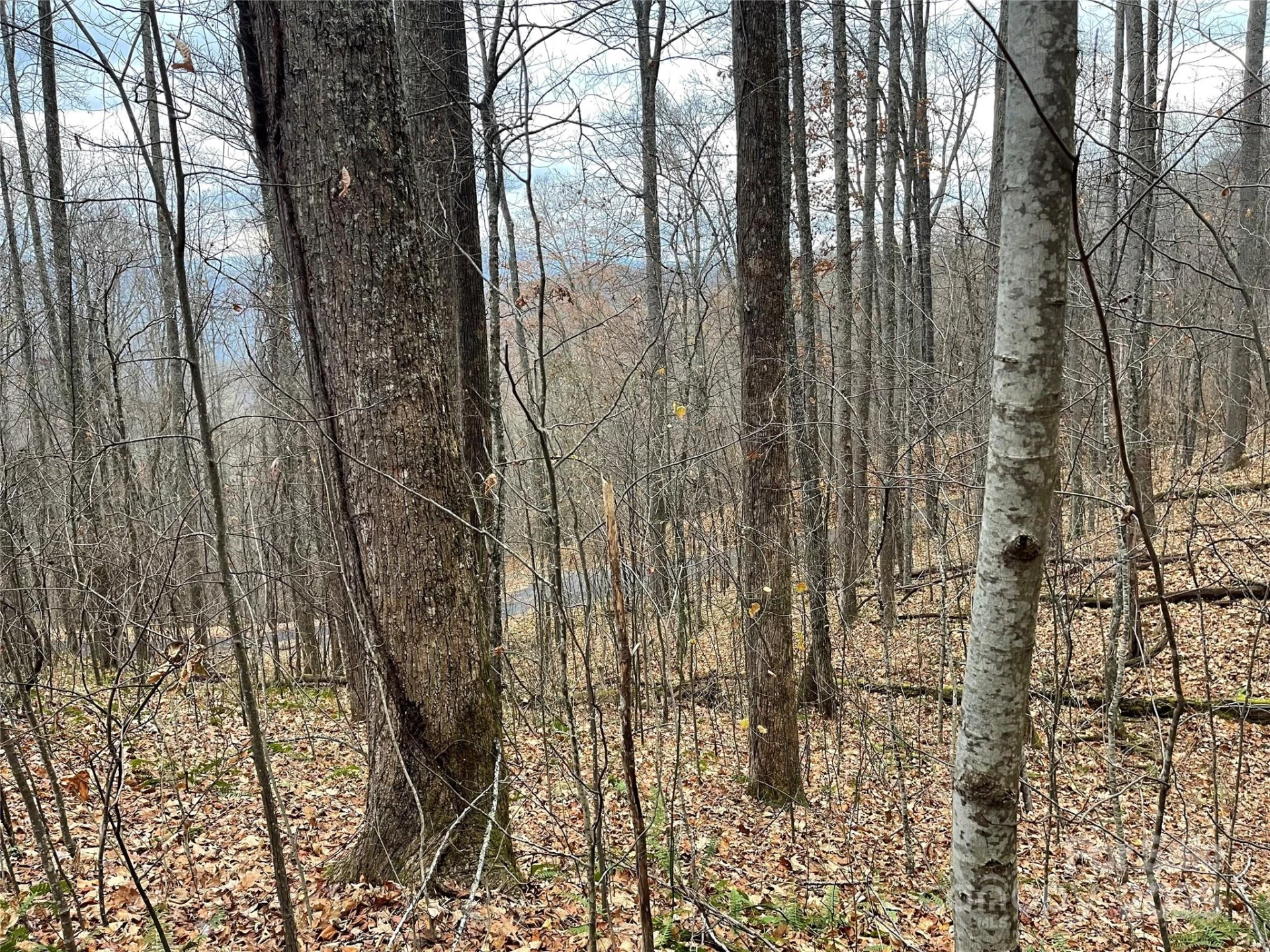 805 Sparkling Falls Road - Photo 20