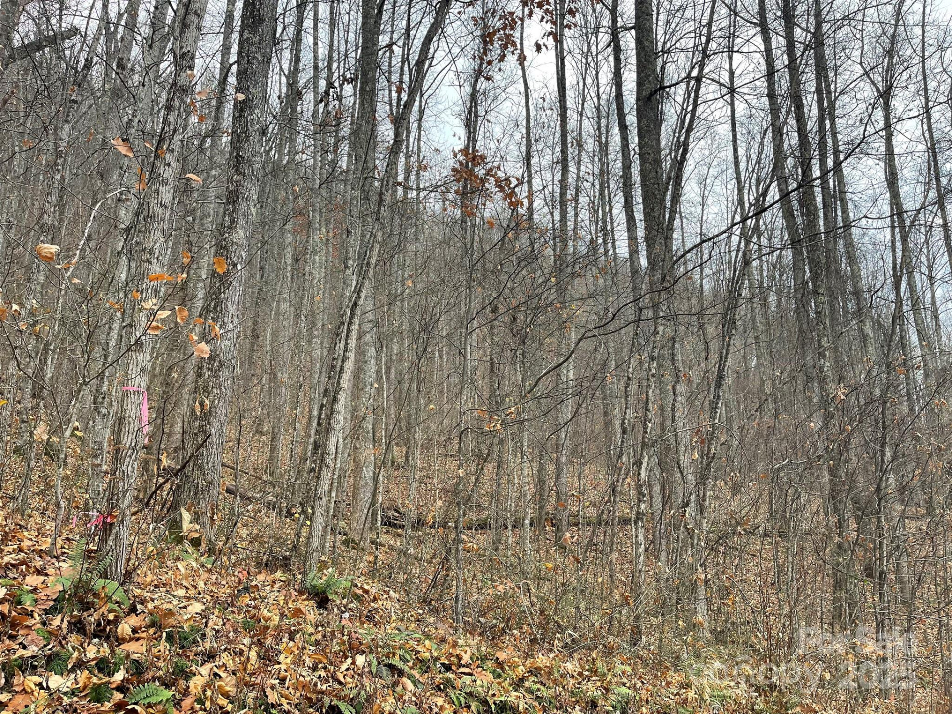 805 Sparkling Falls Road - Photo 3