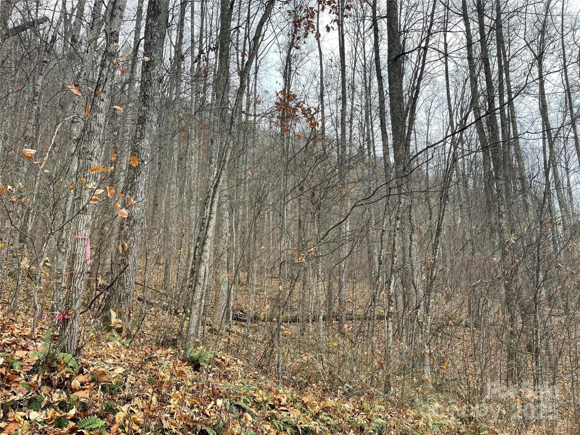 805 Sparkling Falls Road - Photo 3
