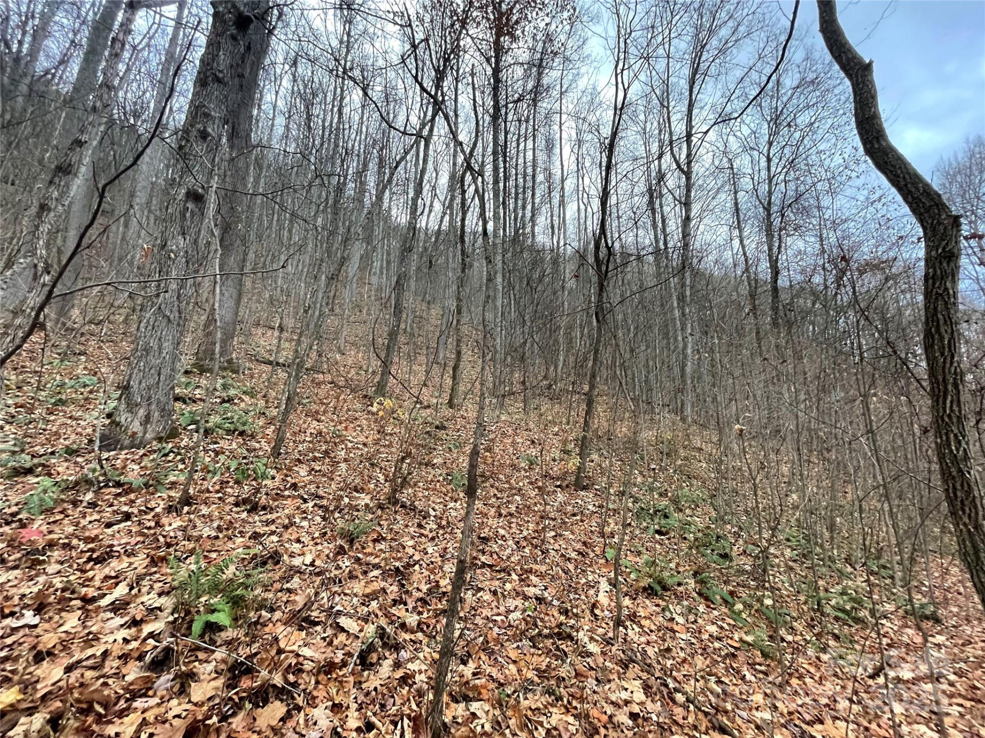 805 Sparkling Falls Road - Photo 21