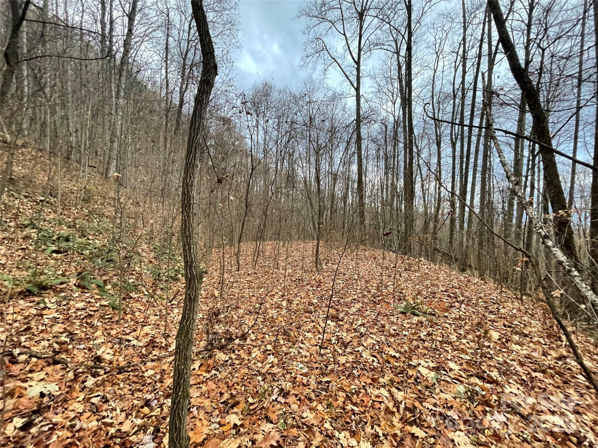 805 Sparkling Falls Road - Photo 22