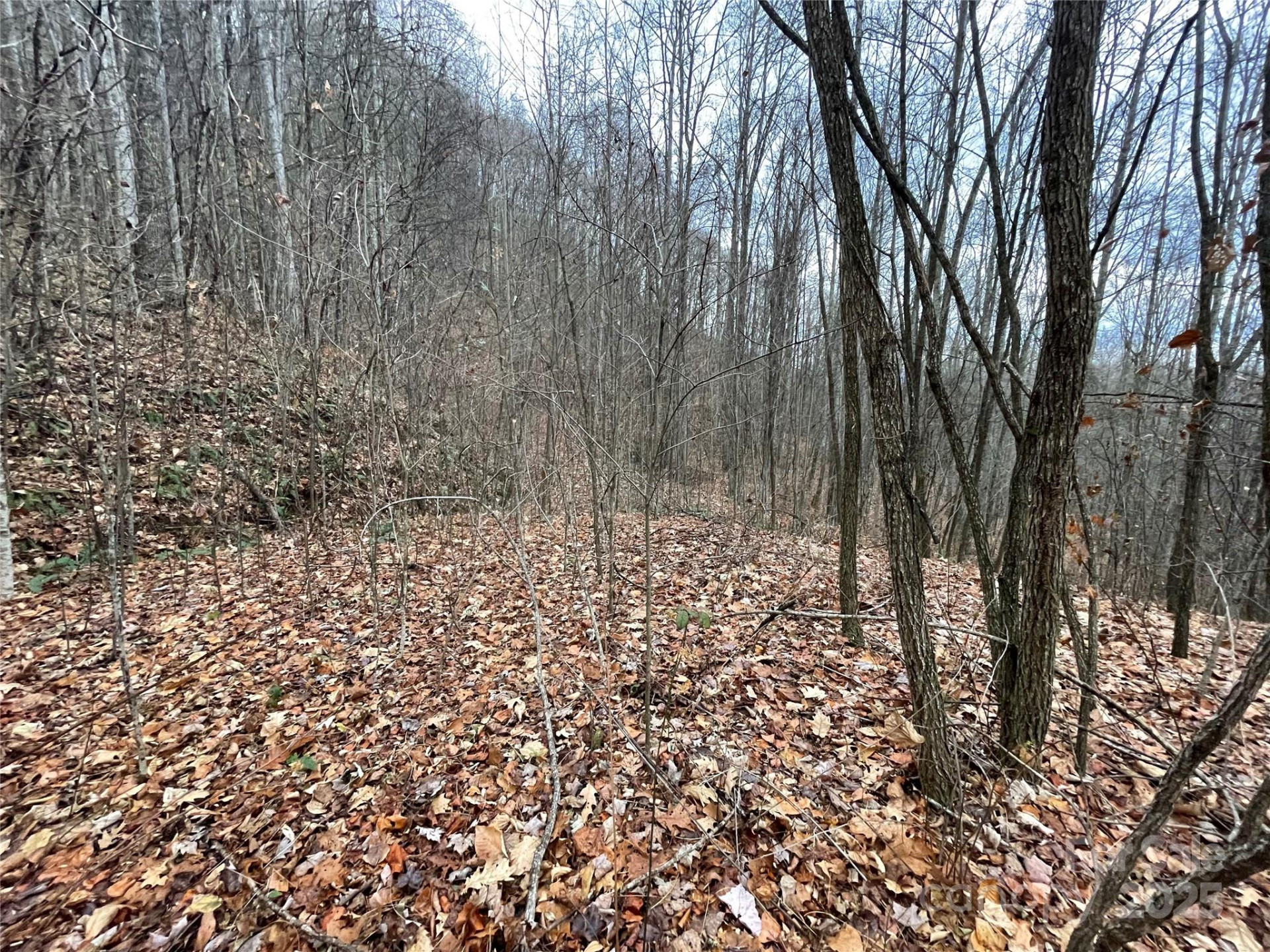 805 Sparkling Falls Road - Photo 23