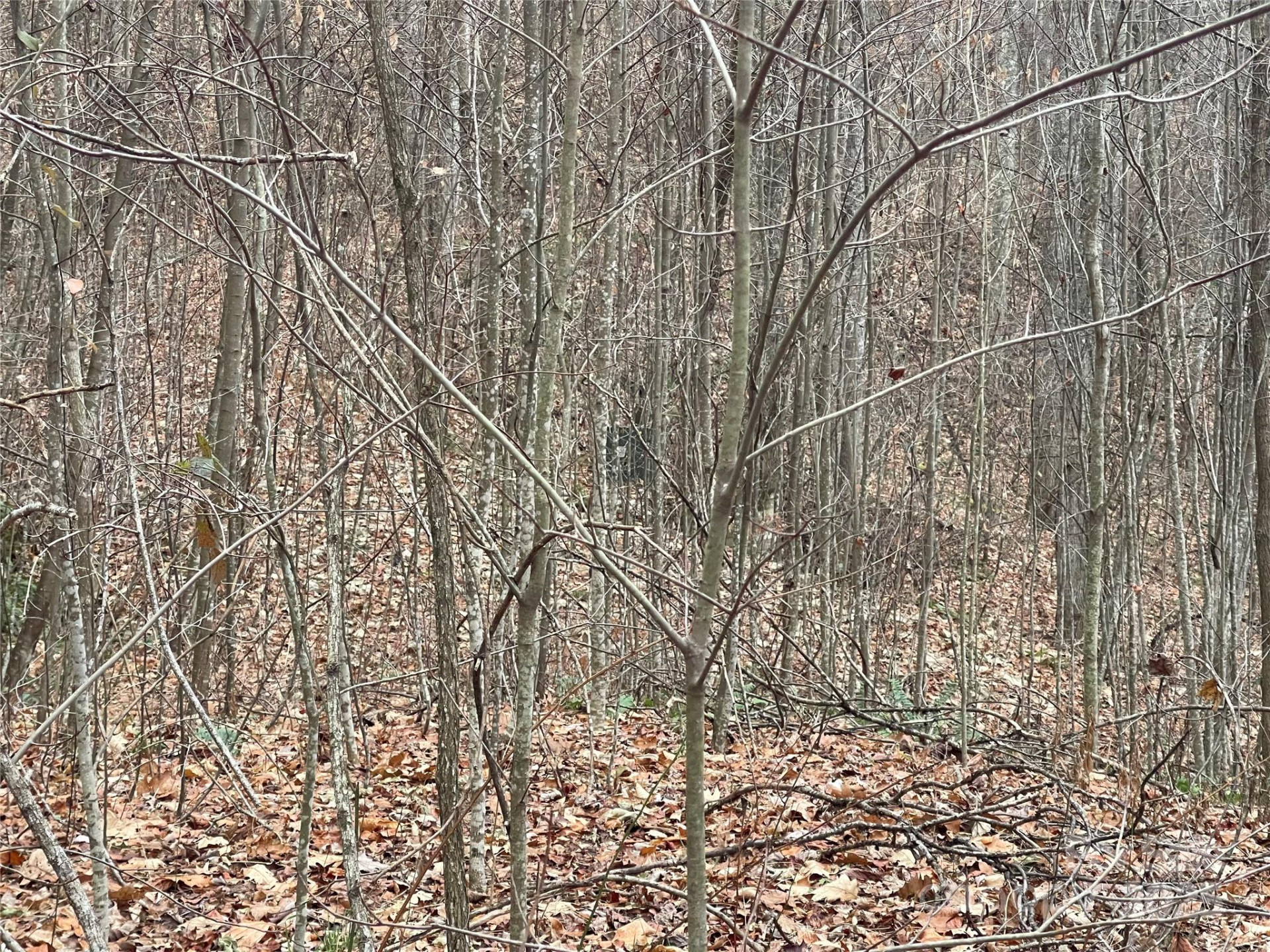 805 Sparkling Falls Road - Photo 24