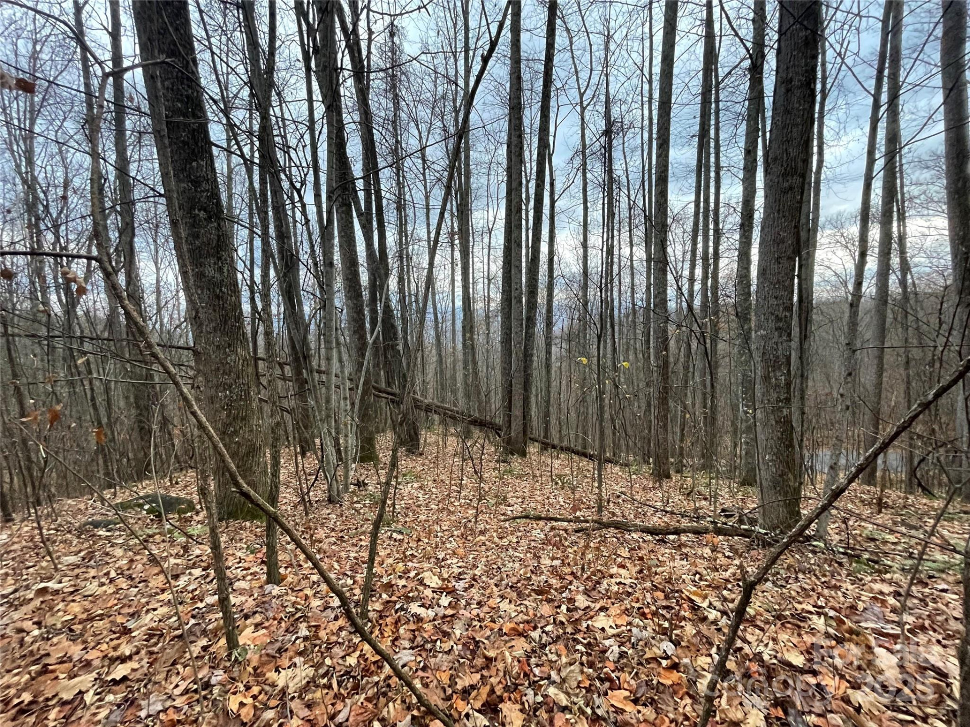 805 Sparkling Falls Road - Photo 25