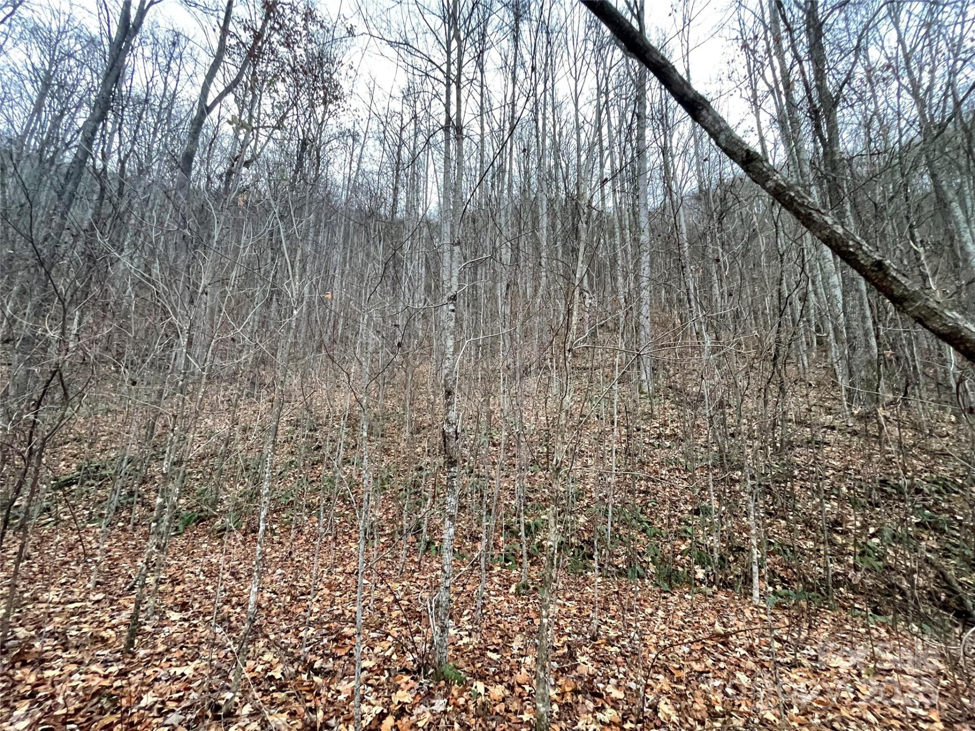 805 Sparkling Falls Road - Photo 26