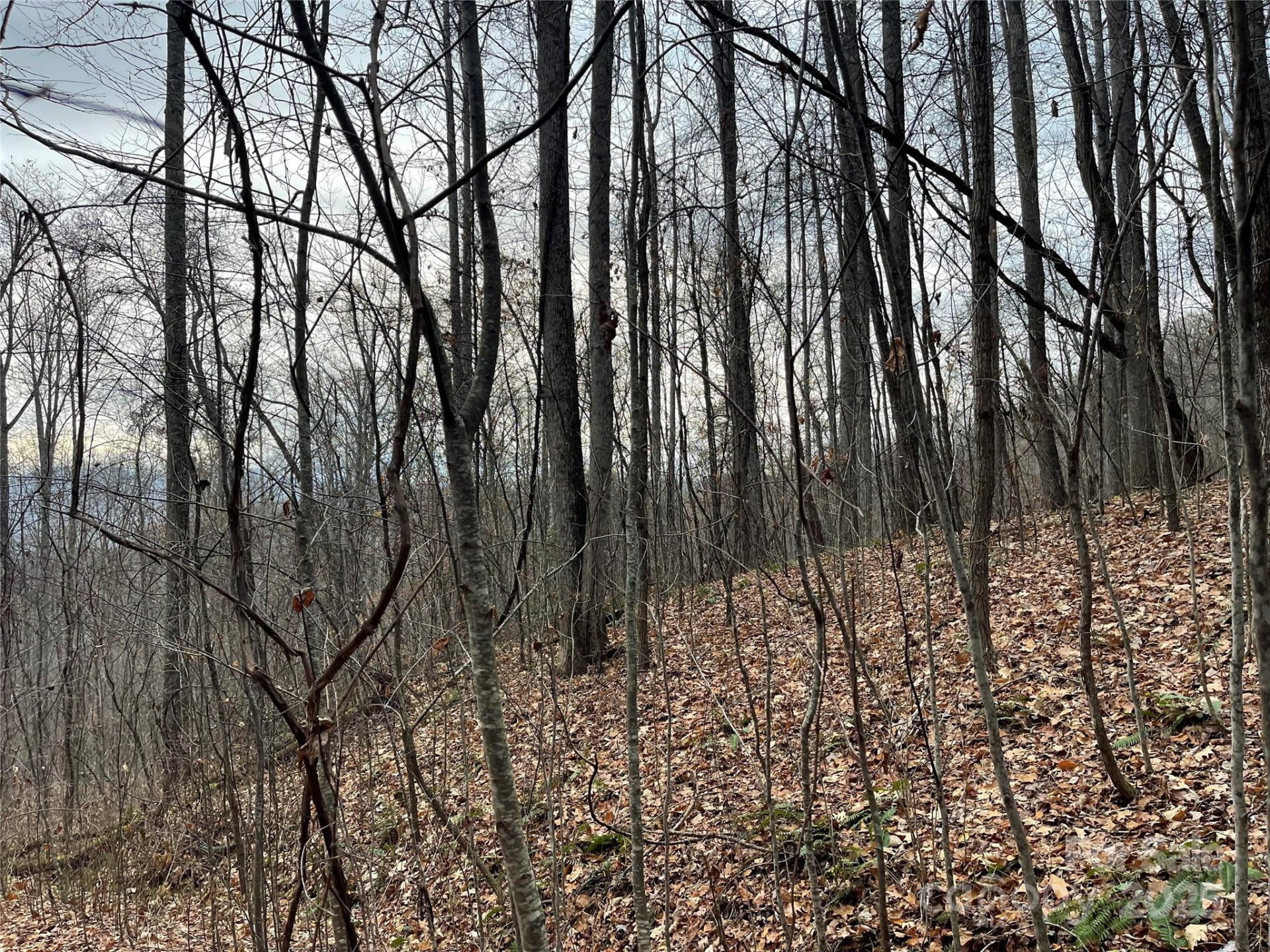 805 Sparkling Falls Road - Photo 27