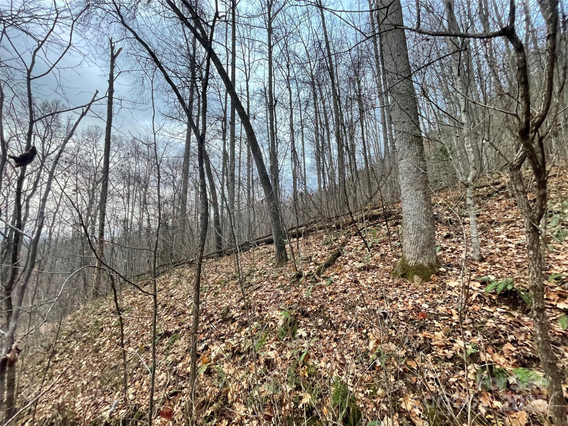 805 Sparkling Falls Road - Photo 28