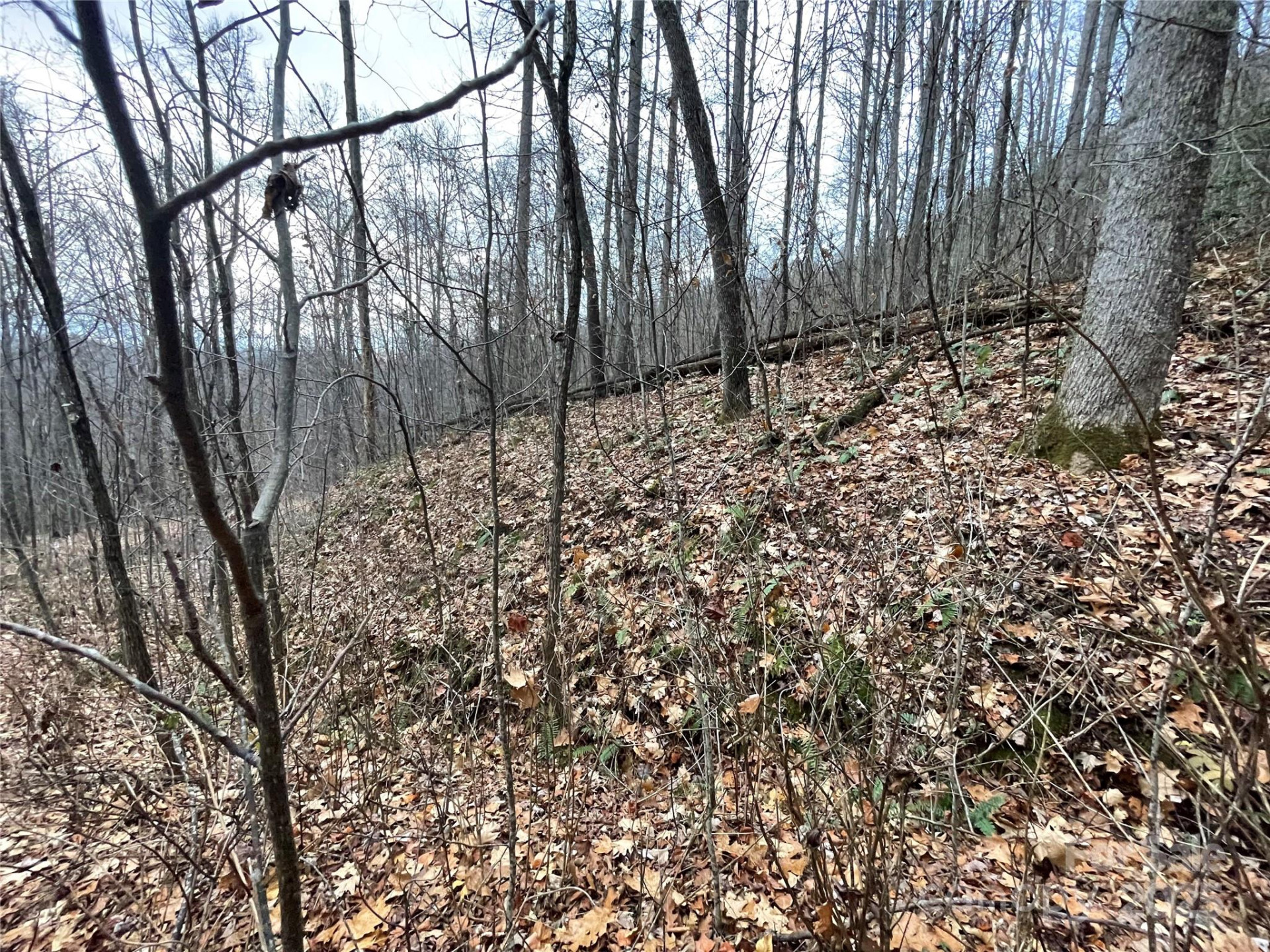 805 Sparkling Falls Road - Photo 29