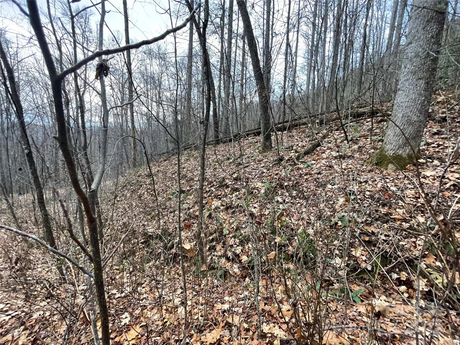 805 Sparkling Falls Road - Photo 29