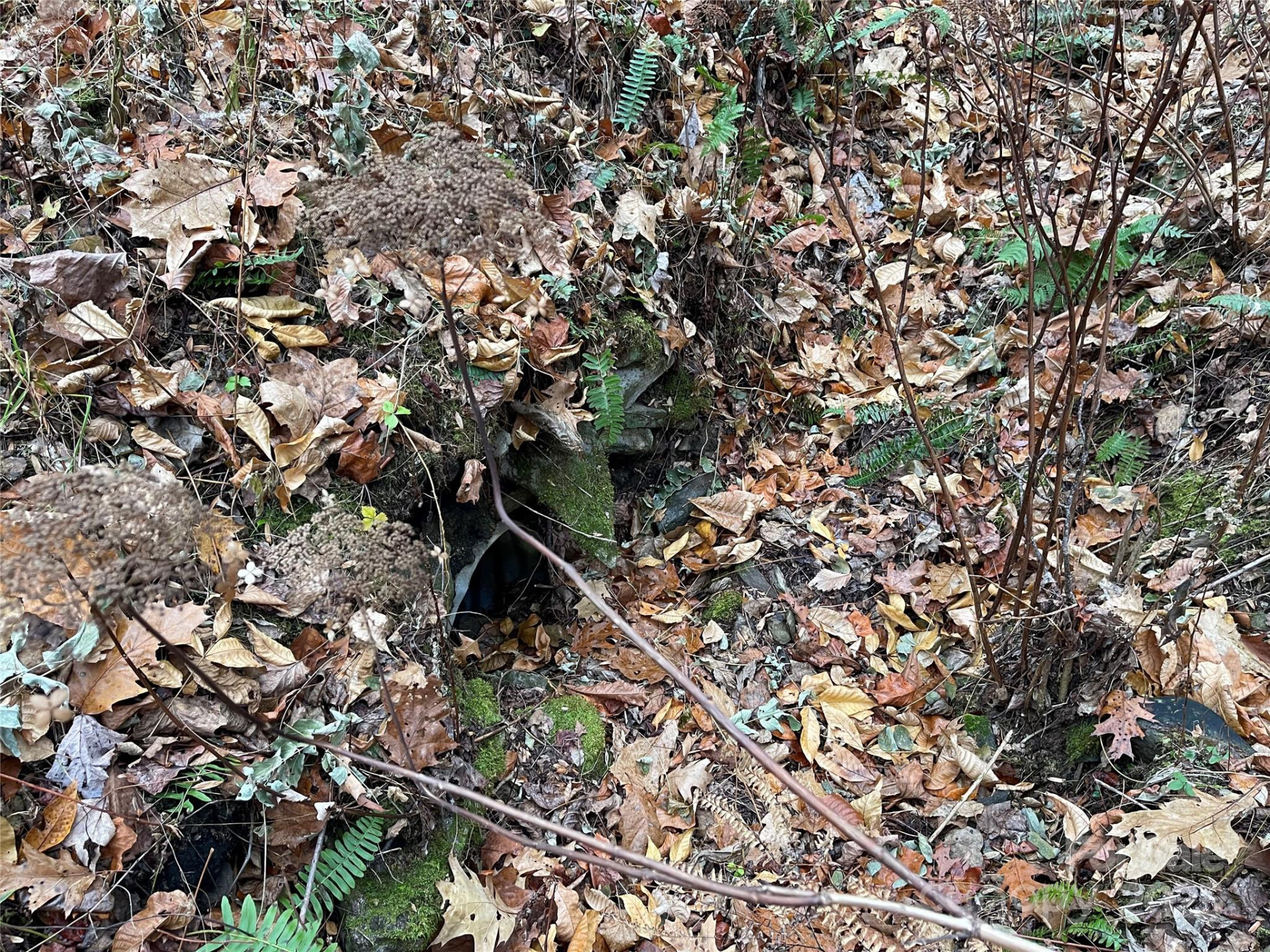 805 Sparkling Falls Road - Photo 30